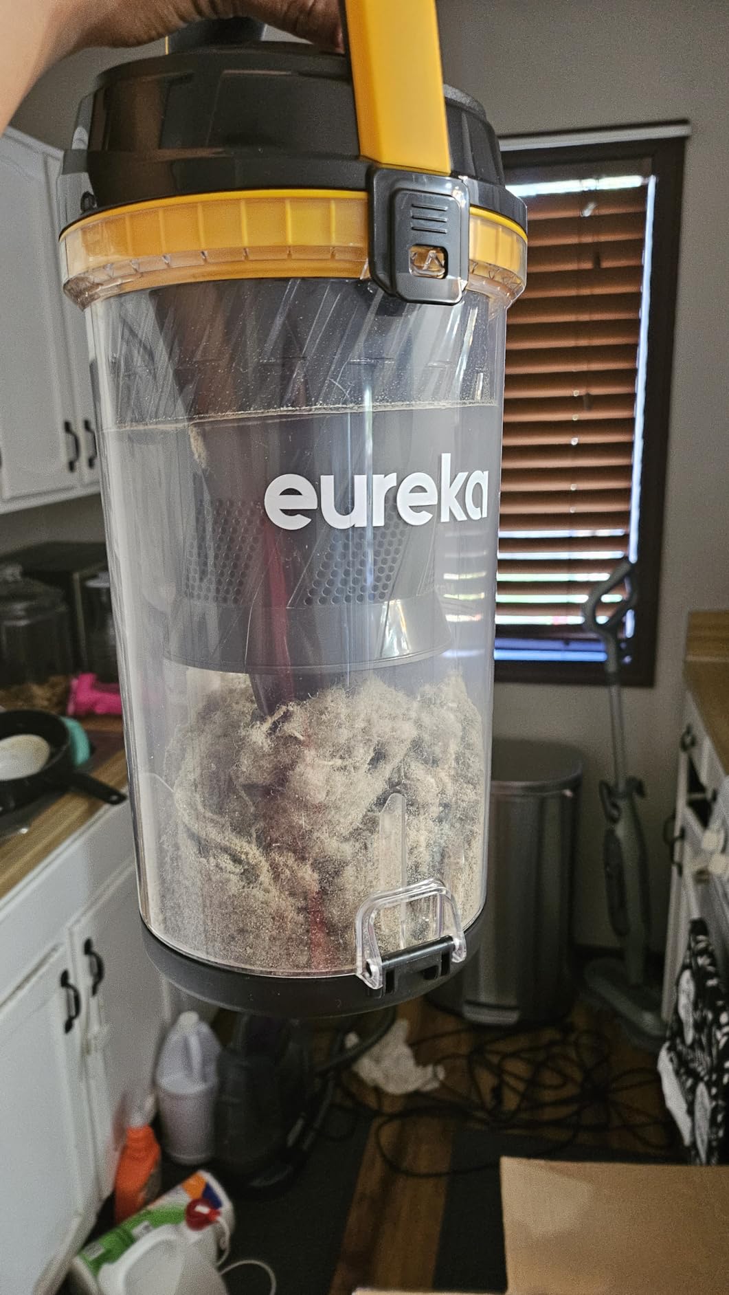 Eureka Vacuum Cleaners for Home, Automatic Cord Rewind, NEU202 customer photo 1