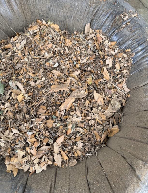 WORX Trivac 3-in-1 Electric Leaf Blower/Leaf Vacuum/Leaf Mulcher, WG512 customer photo 2