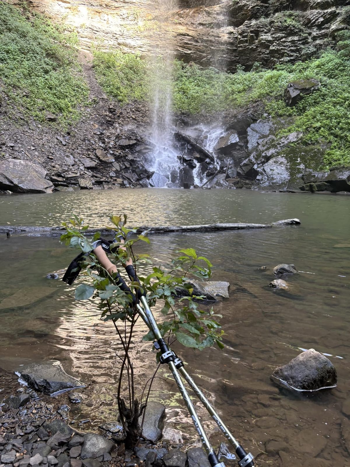 Foxelli Trekking Poles - Lightweight Collapsible Aircraft Grade Aluminum Hiking Poles with Cork Grips Quick Locks & All-Terrain Accessories - Pair of 2 customer photo 1