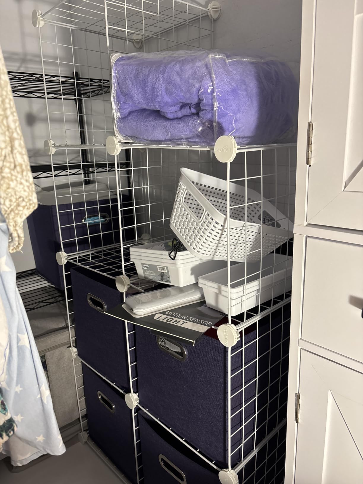 C&AHOME Wire Cube Storage, 8-Cube Organizer Metal C Grids Storage, Storage Bins Shelving, Modular Book Shelf, DIY Closet Cabinet Ideal for Living Room, Home, Office 24.8
