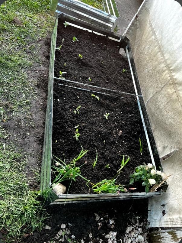 Galvanized Raised Garden Bed 8x4x1ft Single Unit customer photo 2