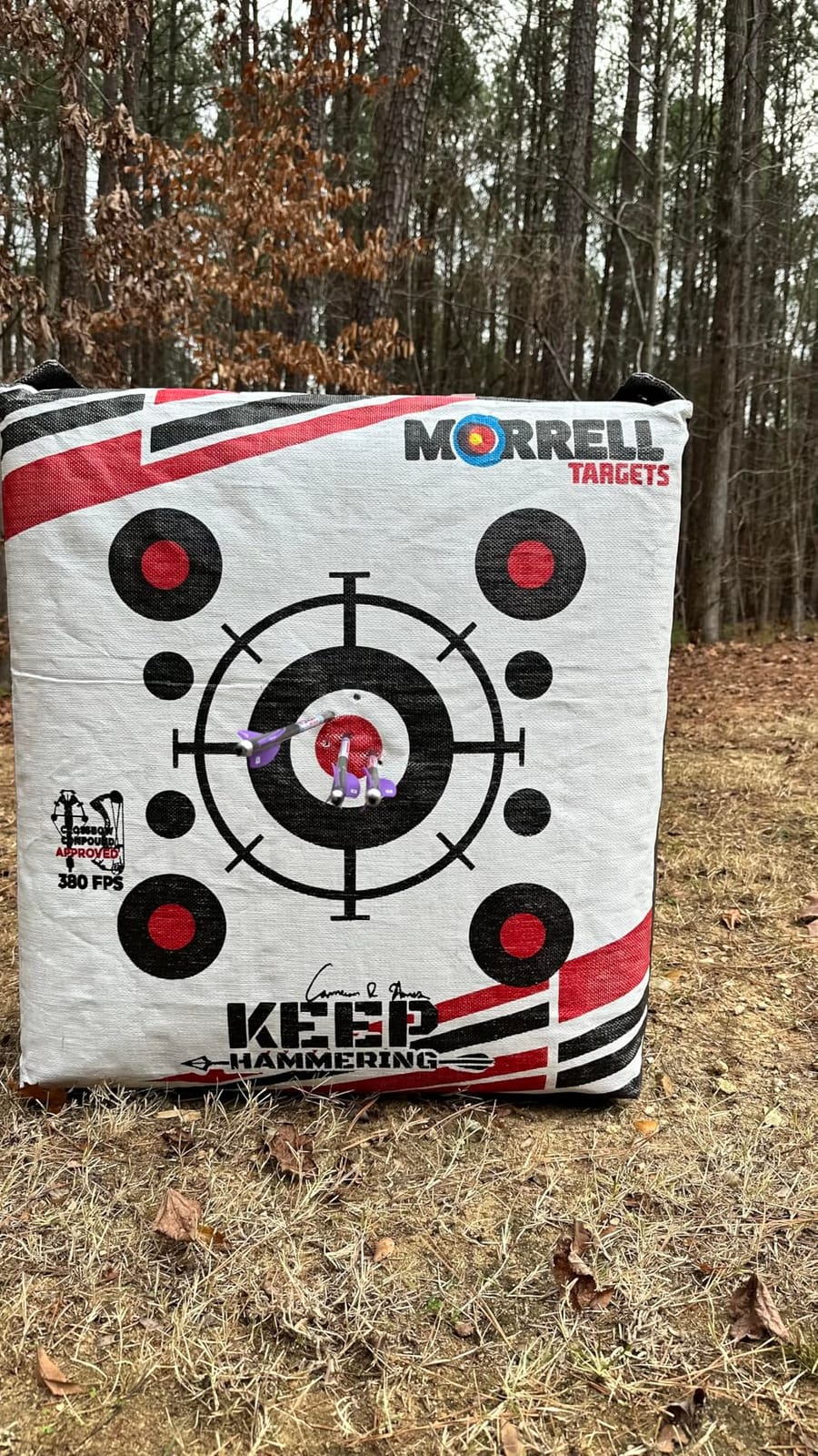 MorrellVital Signs Combo 2 Field Point/Broadhead Combo Target customer photo 1