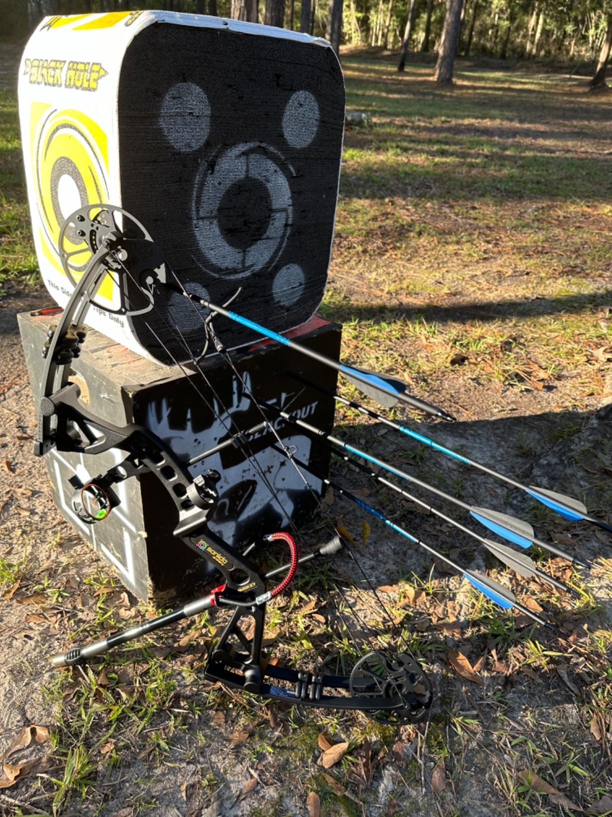 AMEYXGS Archery Bow Stabilizer 3/4/5/10/12/26/28/30 inch Carbon Fiber Bow Balance Bar Stalizer Rod Extension Pole Rod Bow Stabilizer Weight Silencer Damping for Recurve Bow and Compound Bow customer photo 1