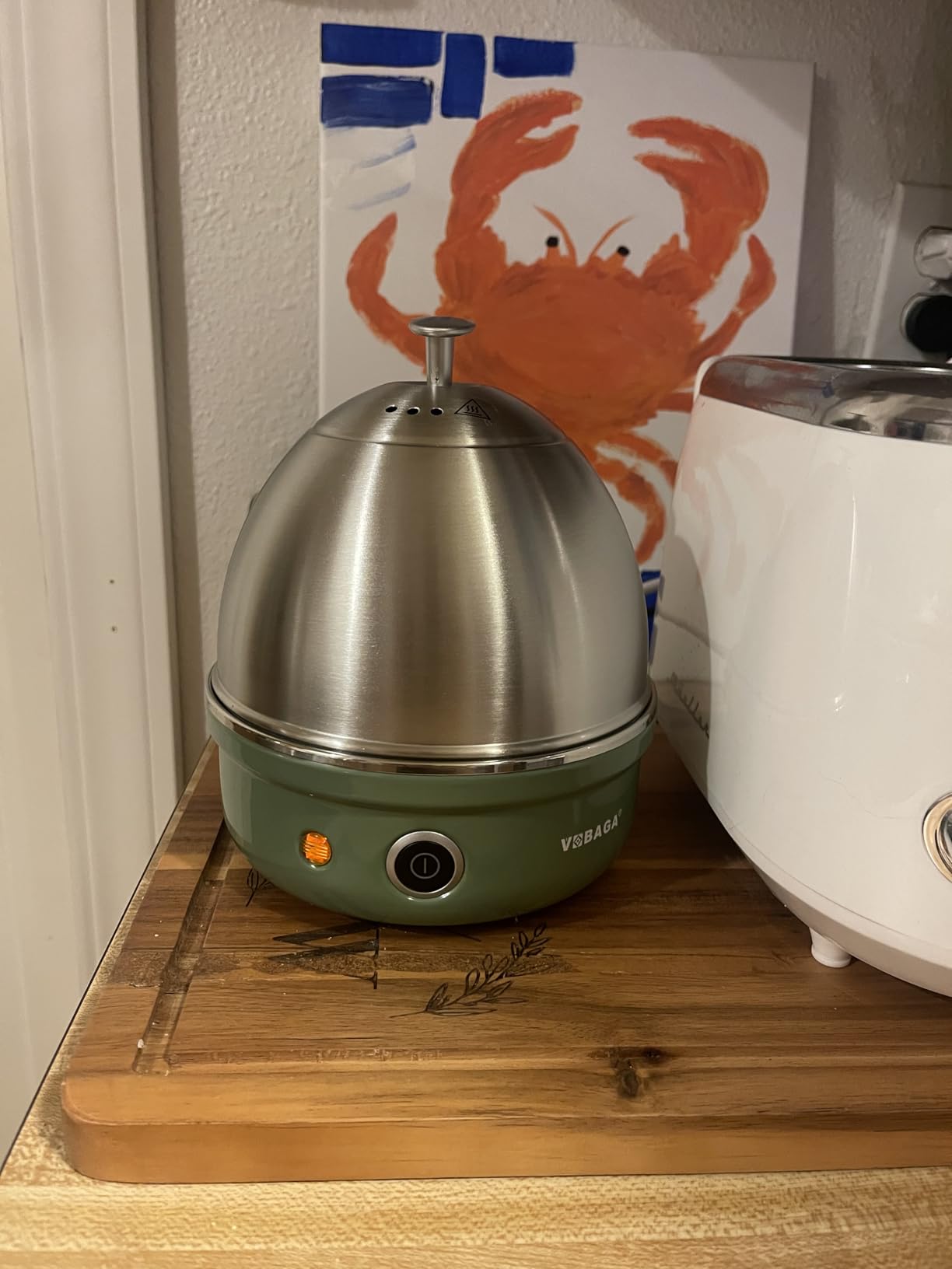 VOBAGA Electric Egg Cooker, Rapid Egg Boiler with Auto Shut Off for Soft, Medium, Hard Boiled, Poached, Steamed Eggs, Vegetables and Dumplings, Stainless Steel Tray with 7-Egg Capacity (Green) customer photo 1