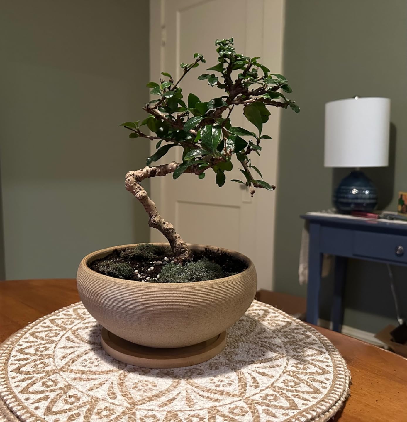 MUZHI 8 inch Round Unglazed Ceramic Bonsai Pot with Bamboo Tray, Shallow Plain Pottery Succulent Planter with Drainage Hole (8