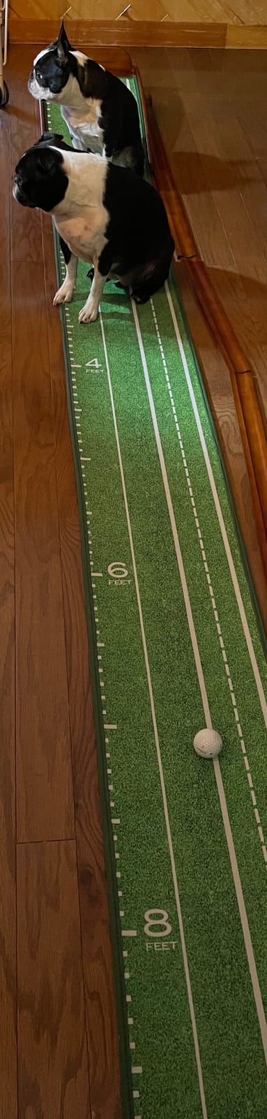 Perfect Practice Standard 9' Putting Mat - Indoor Putting Green customer photo 2