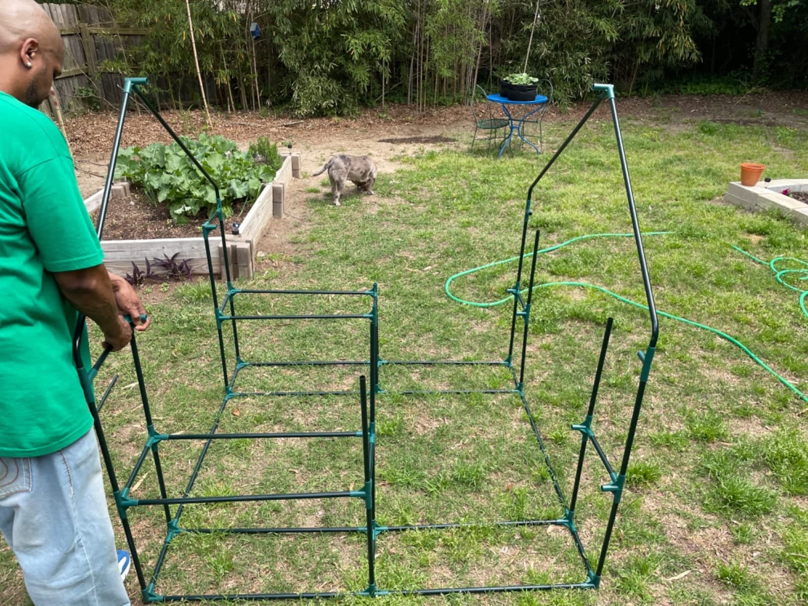 3 Tiers 6 Shelves Walk-in Green House, Portable Greenhouse w/Durable PE Cover, Roll Up Zipper Door, Steel Frame Greenhouse w/ Ground Pegs, Ropes for Garden, Patio, Backyard customer photo 1