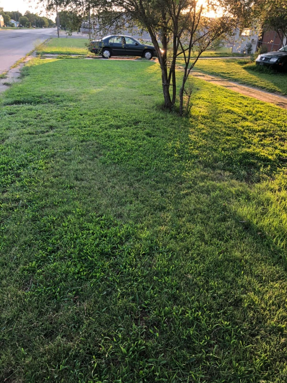 Sun Joe Cordless Electric Push Lawn Mower with 11-Gal Bag, 24V-X2-17LM customer photo 2