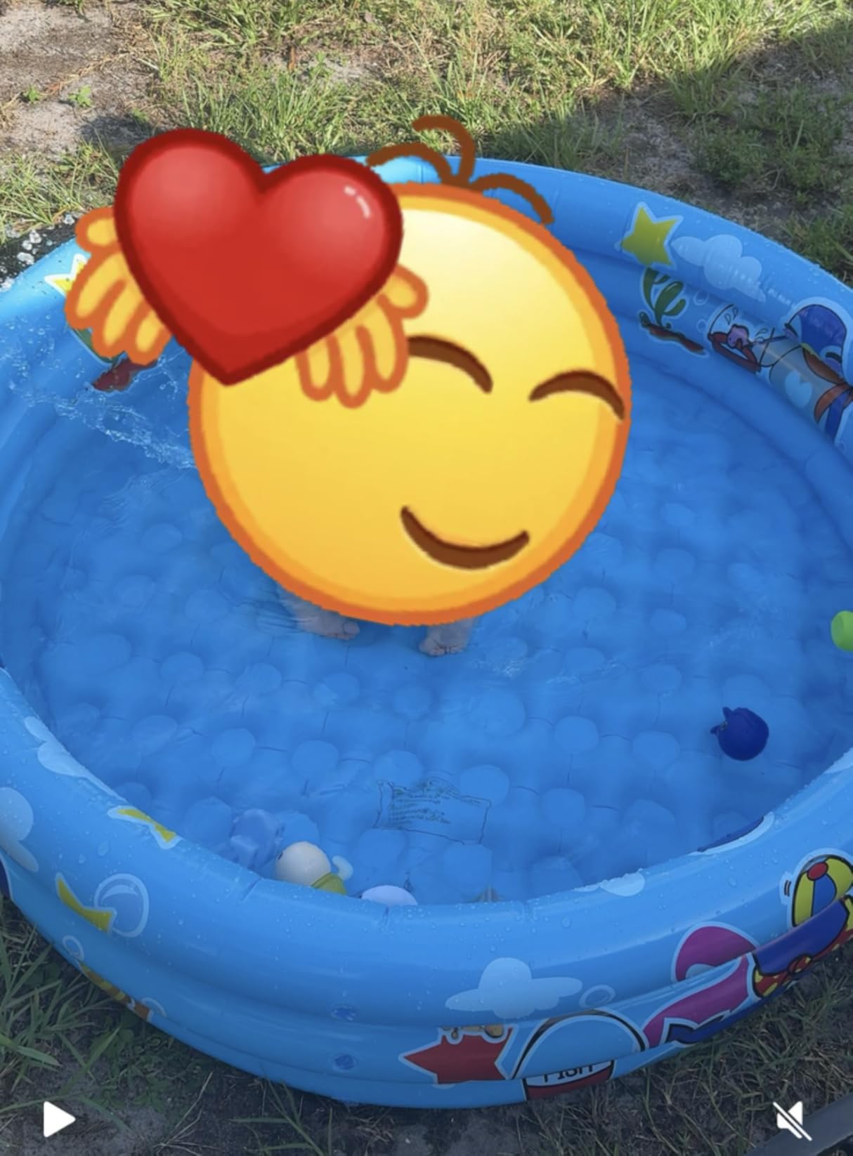 3 Rings Kiddie Pool for Toddler, 48”X12”，Kids Swimming Pool, Inflatable Baby Ball Pit Pool, Small Infant Pool (Blue) customer photo 2