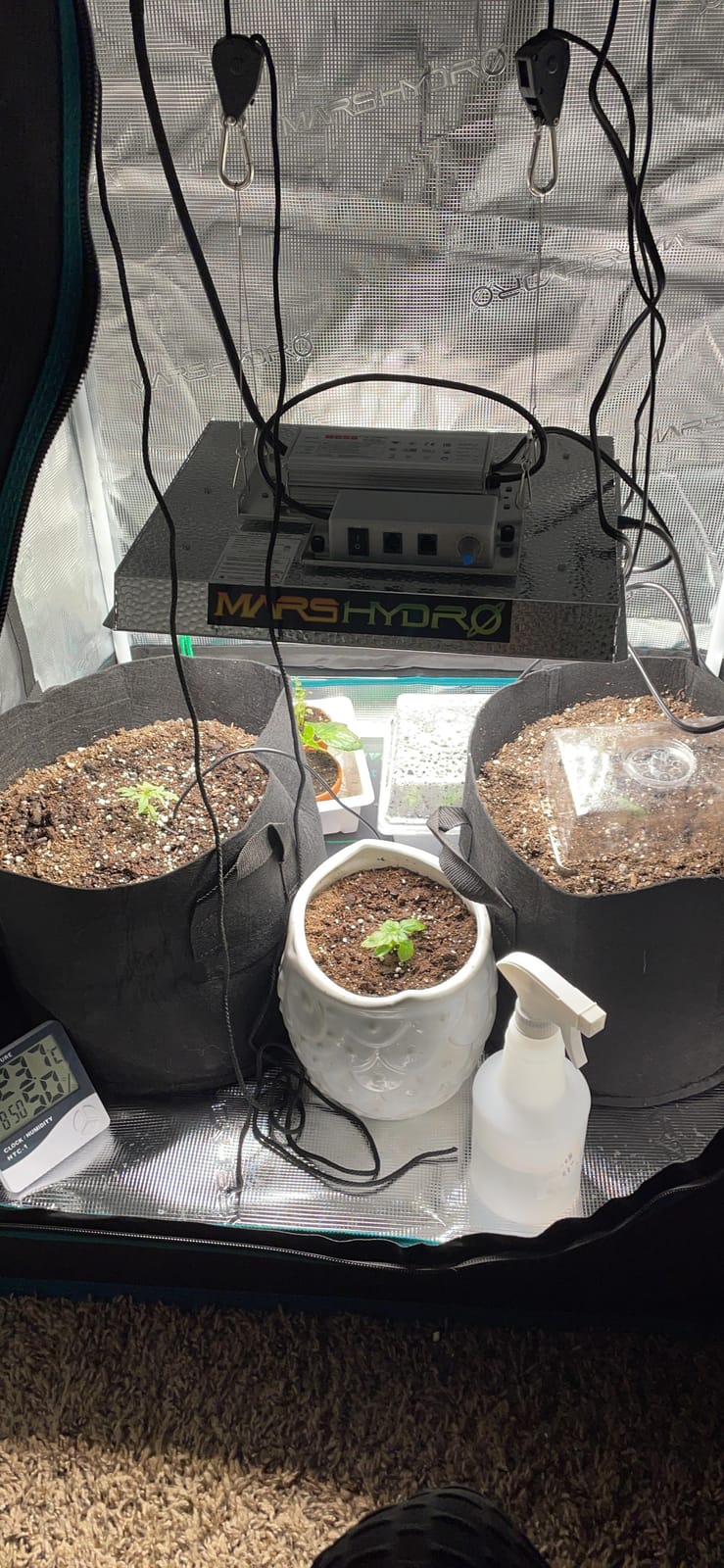 MARS HYDRO 3x3 Smart Grow Tent Kit with TS1000 with iControl Controller customer photo 1