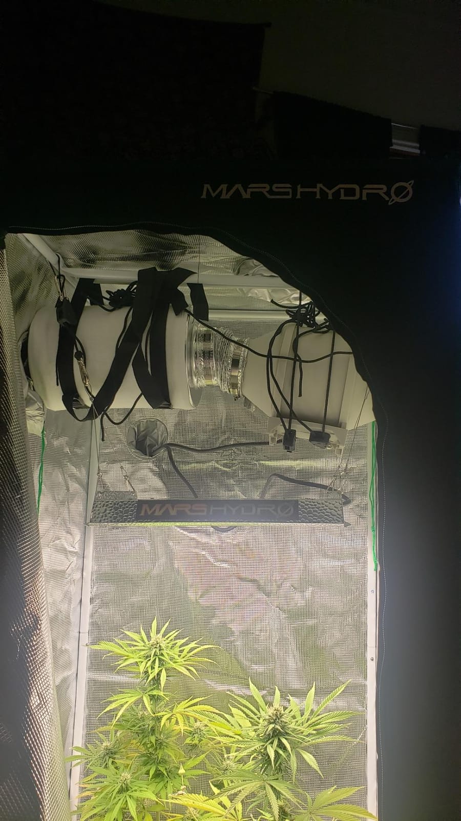 MARS HYDRO 2x2ft Grow Tent Kit with TS600 100W Full Spectrum LED Grow Light customer photo 1