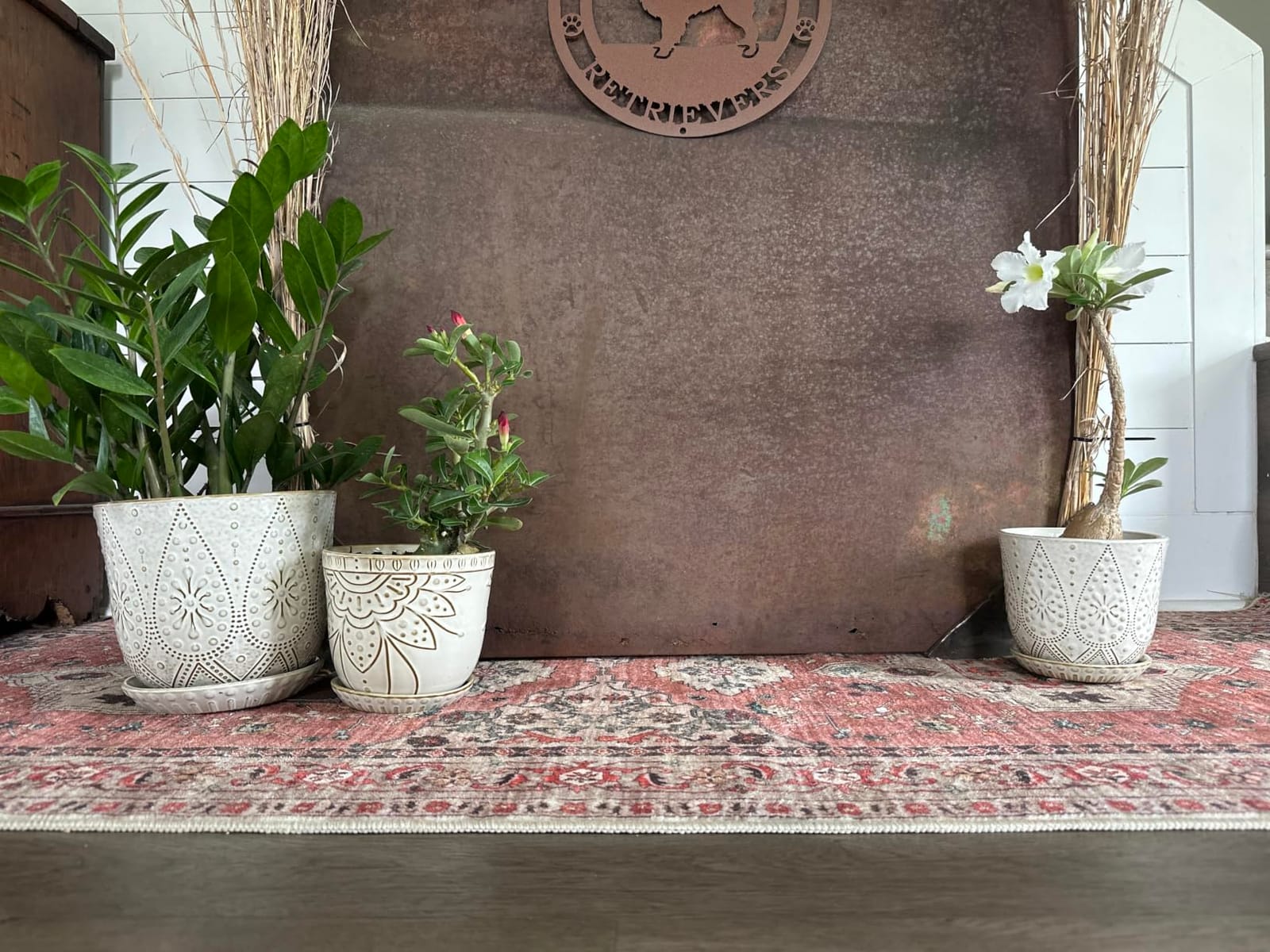 Gepege Ceramic Plant Pots, 6 Inch Indoor Planters with Drainage & Saucers customer photo 2