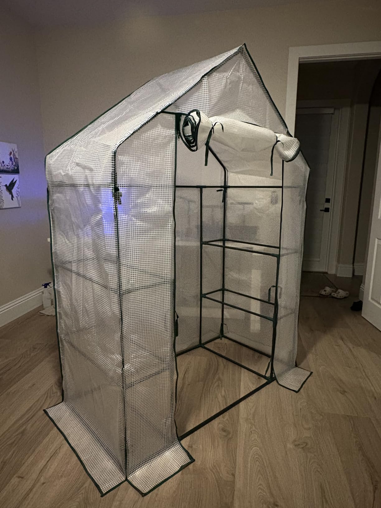 56x30x76 Portable Walk-in Greenhouse for Outdoors, Plant House with Shelves customer photo 1