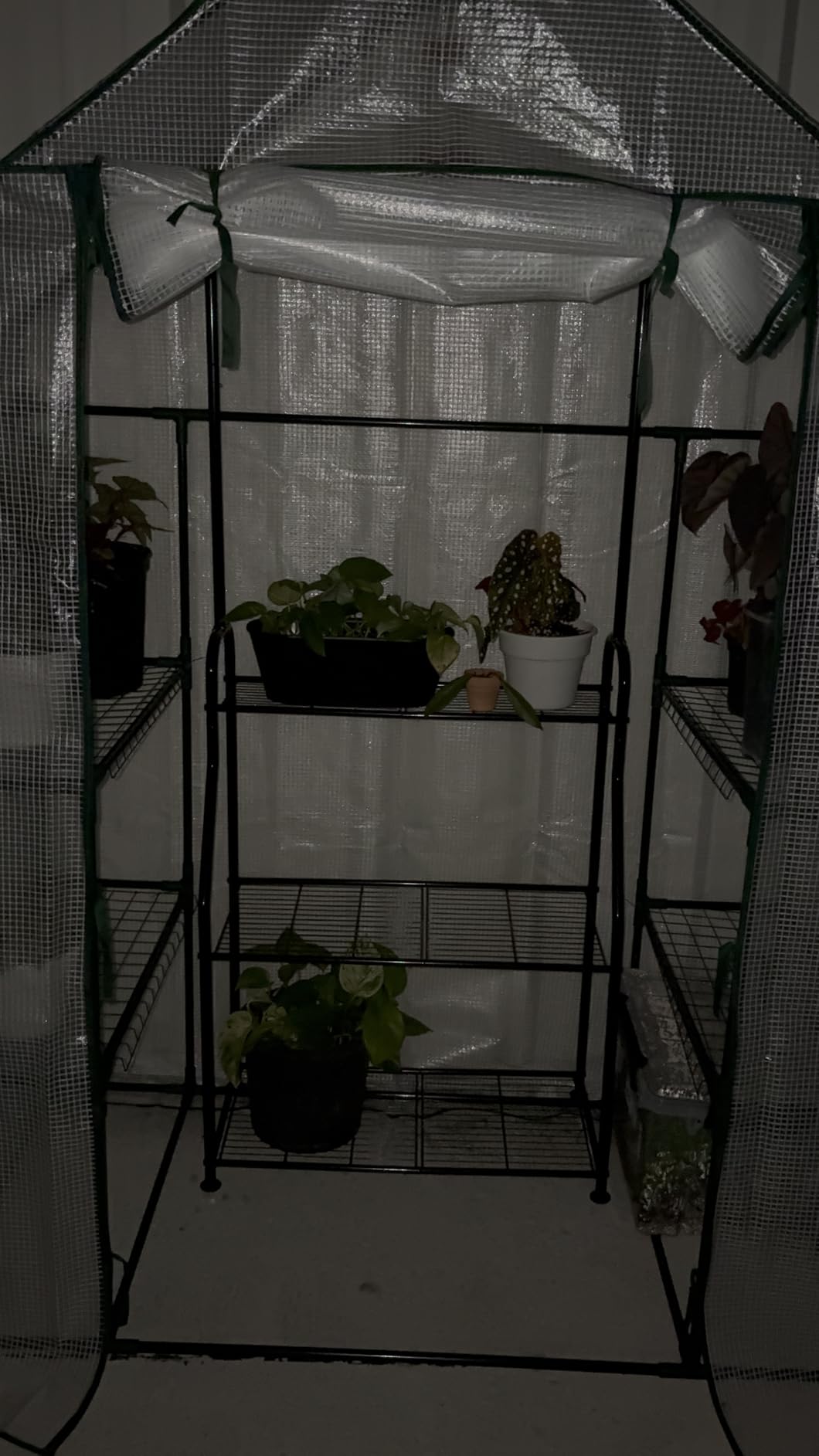 56x30x76 Portable Walk-in Greenhouse for Outdoors, Plant House with Shelves customer photo 2