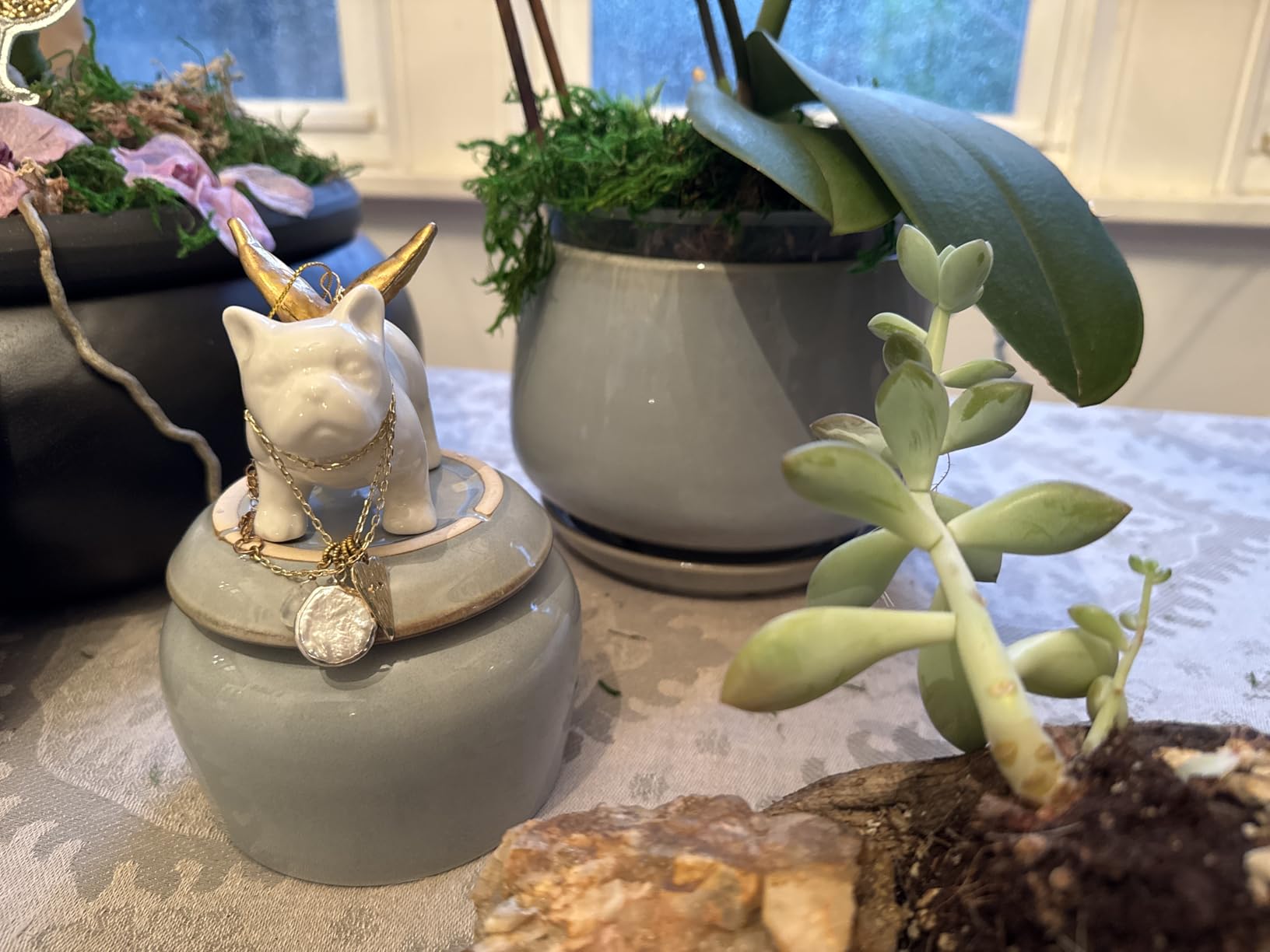 LE TAUCI Plant Pots, 4.1+5.1+6.5 inch, Set of 3, Ceramic Planters with Drainage Hole and Saucer, Indoor Flower Pot with Hole Mesh Pad, Gifts for Mom, Reactive Glaze Beige customer photo 1