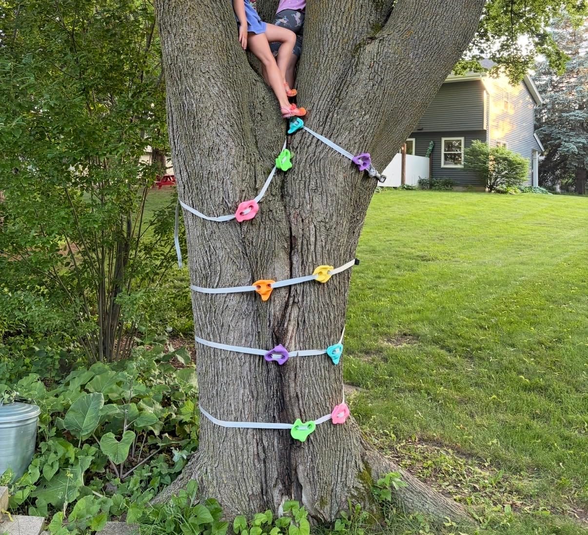 TOPNEW 20 Ninja Tree Climbing Holds for Kids Climber, Adult Climbing Rocks with 6 Ratchet Straps for Outdoor Ninja Warrior Obstacle Course Training customer photo 1