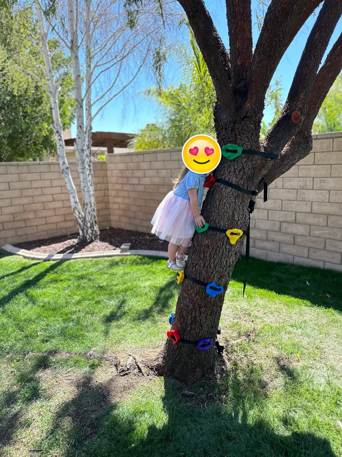 TOPNEW 20 Ninja Tree Climbing Holds for Kids Climber, Adult Climbing Rocks with 6 Ratchet Straps for Outdoor Ninja Warrior Obstacle Course Training customer photo 2