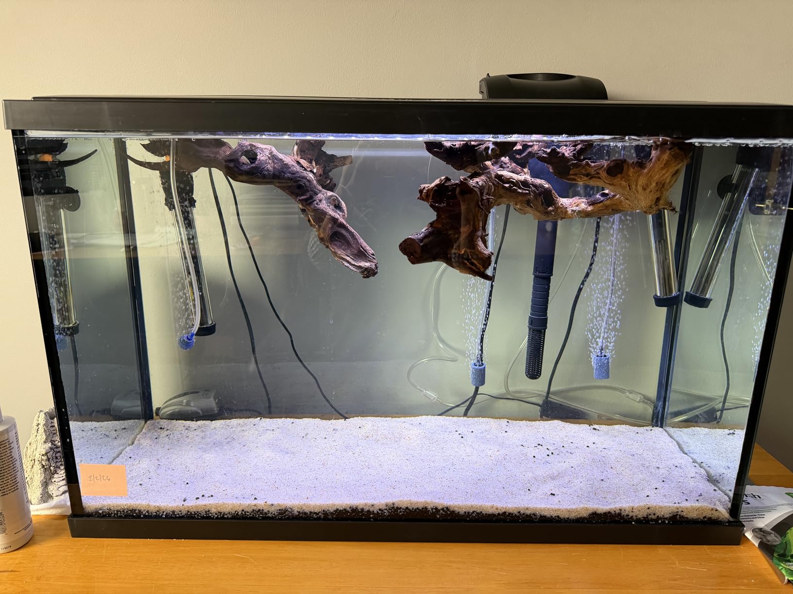 WDEFUN Natural Driftwood for Aquarium Decor, 2-Piece 10''-14'' Large Driftwood for Decorations on Fish Tank, Reptiles Bearded Dragon Accessories or Air Plants customer photo 2