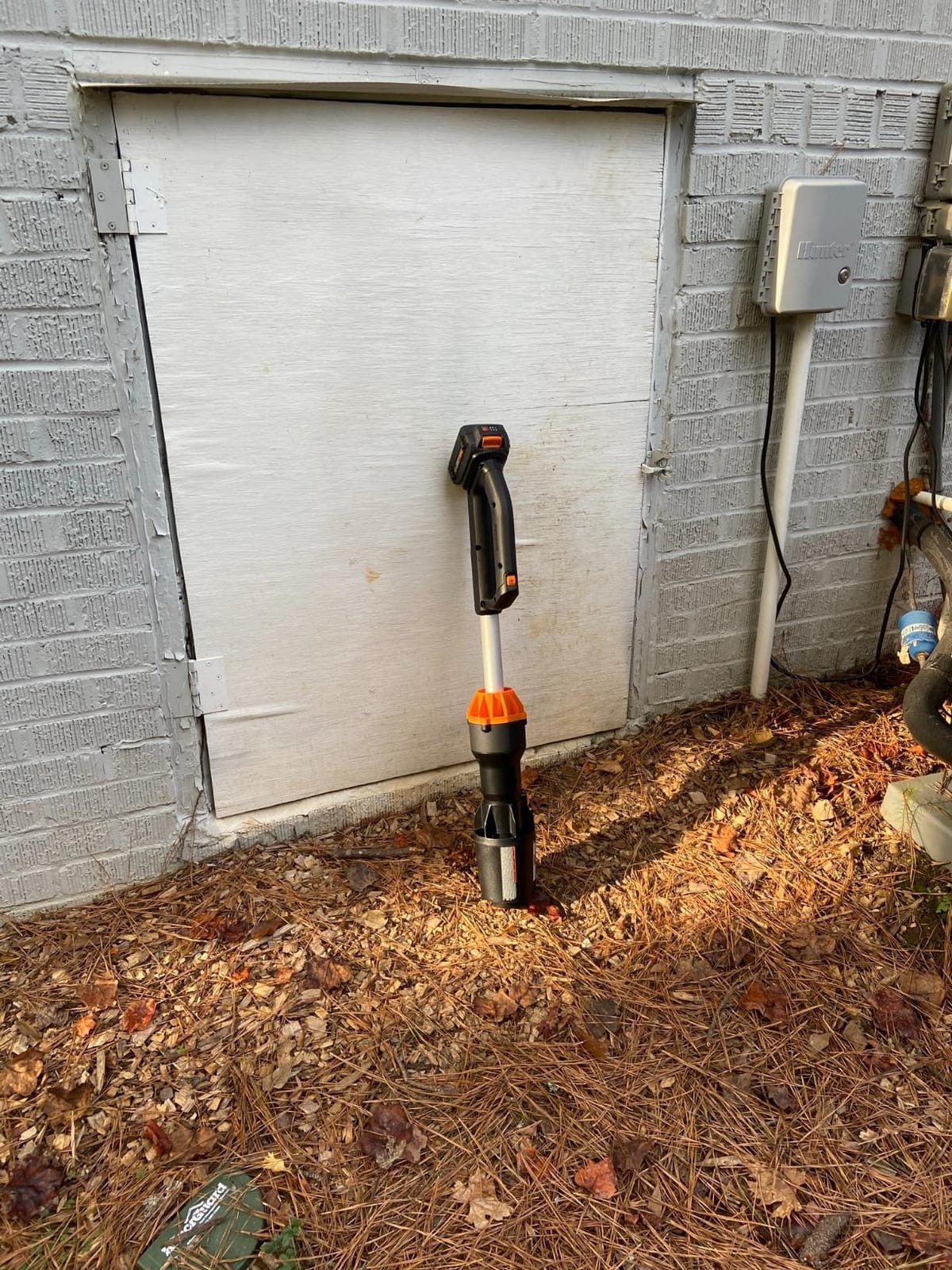 WORX Cordless Leaf Blower, 20V Electric Blower for Leaf Removal, WG543 customer photo 1