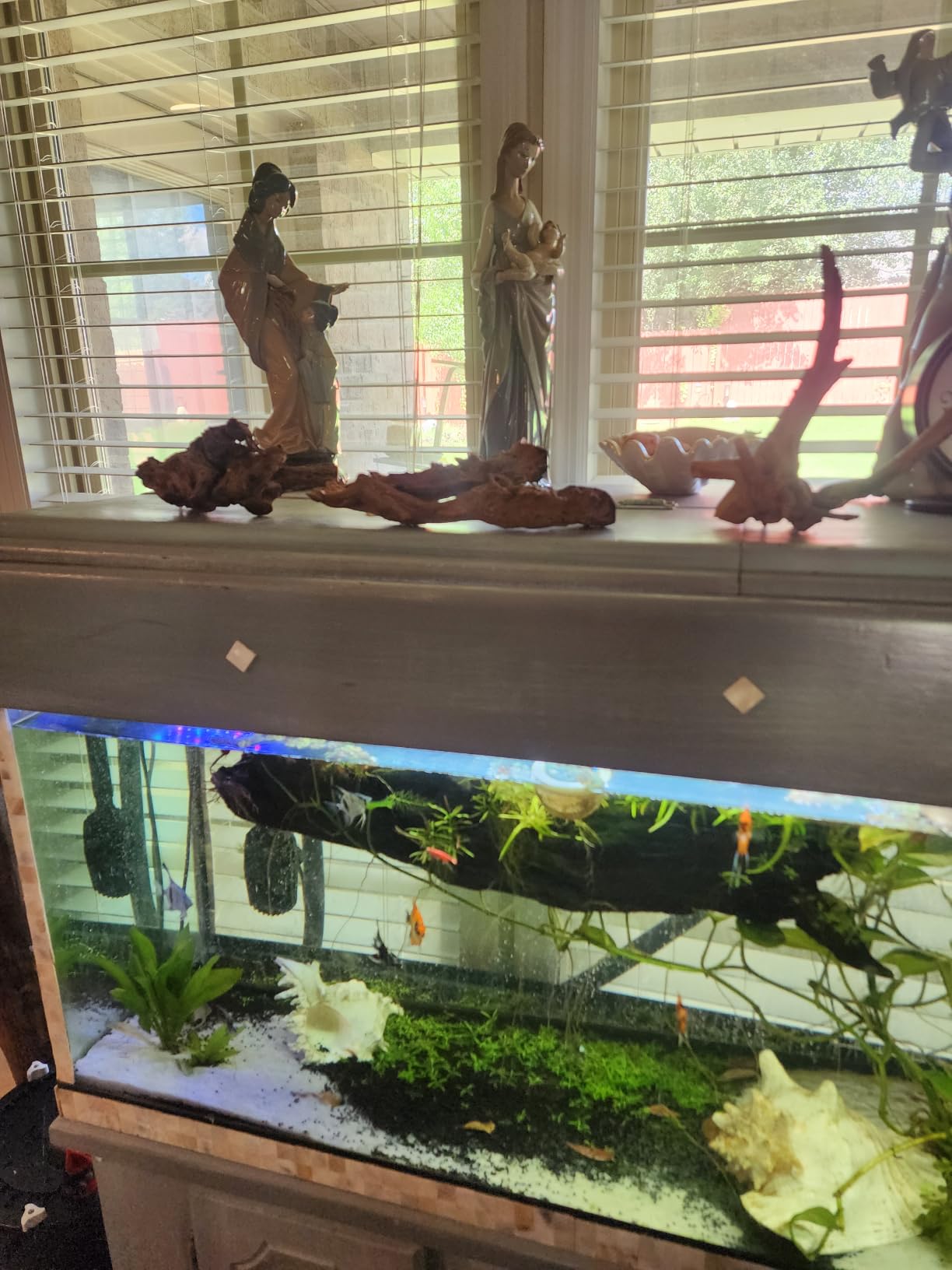 majoywoo Natural Driftwood for Aquarium Decor Fish Tank Decor Reptile Decor customer photo 2