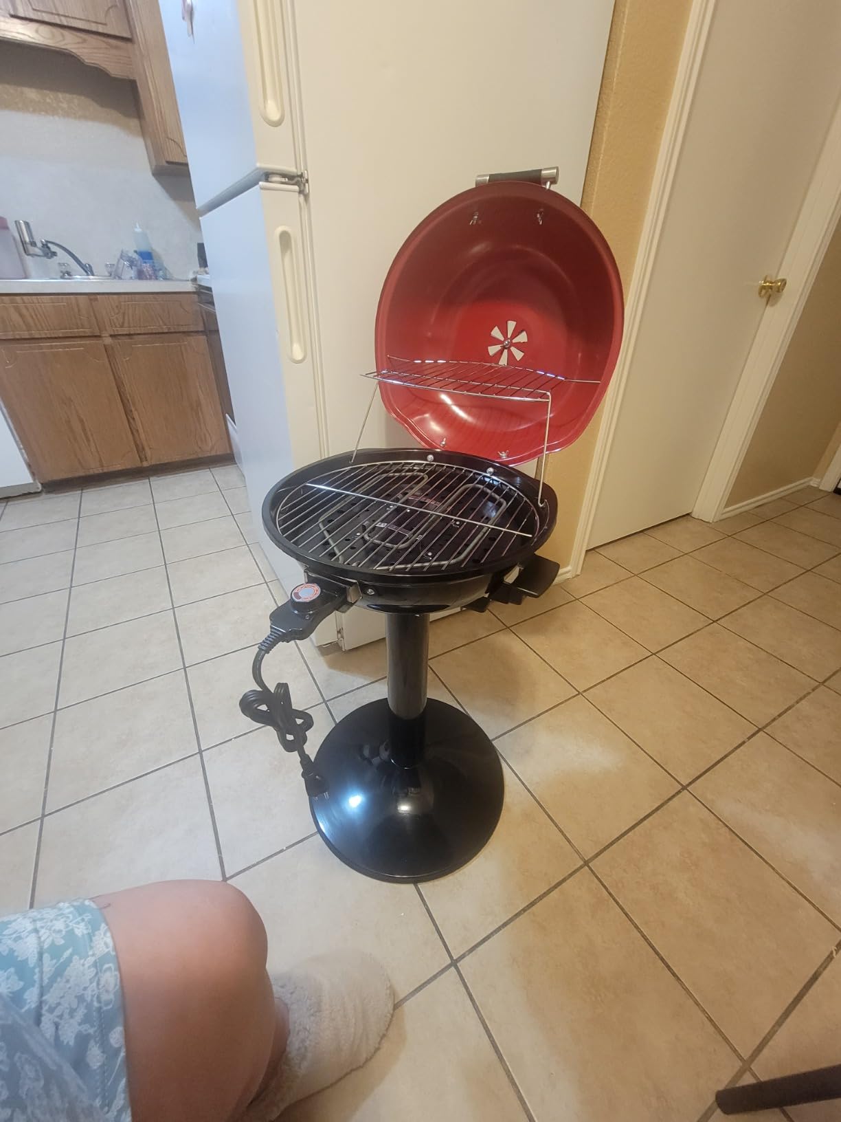 Electric Grill Outdoor BBQ, Techwood 15-Serving Indoor/Outdoor Electric Grill for Indoor & Outdoor Use, Double Layer Design, Portable Removable Stand Grill, 1600W (Stand Red BBQ Grills) customer photo 2