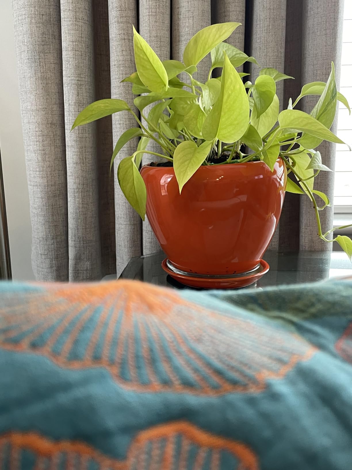Ceramic Modern Glaze Succulent Planter Pot with Drainage Hole and Saucer 6 Inch Round Flower Plant Pot for Indoor Outdoor Herb Snake Plants customer photo 1