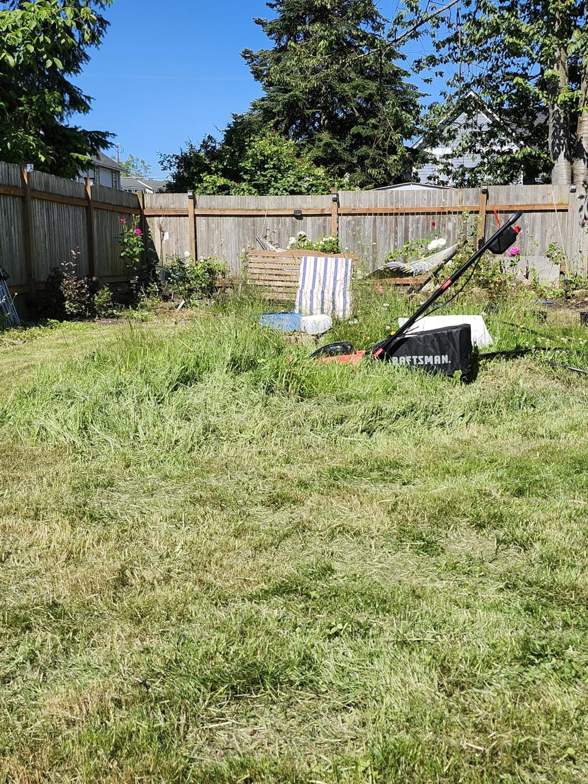 CRAFTSMAN V20 20 in Lawn Mower, 2 x 5Ah Batteries and 2 Chargers Included, High Effeciency Brushless Motor, Push Mower, Up to 50 Min of Runtime, Lightweight, Grass Bag, Low Profile (CMCMW220P2) customer photo 1