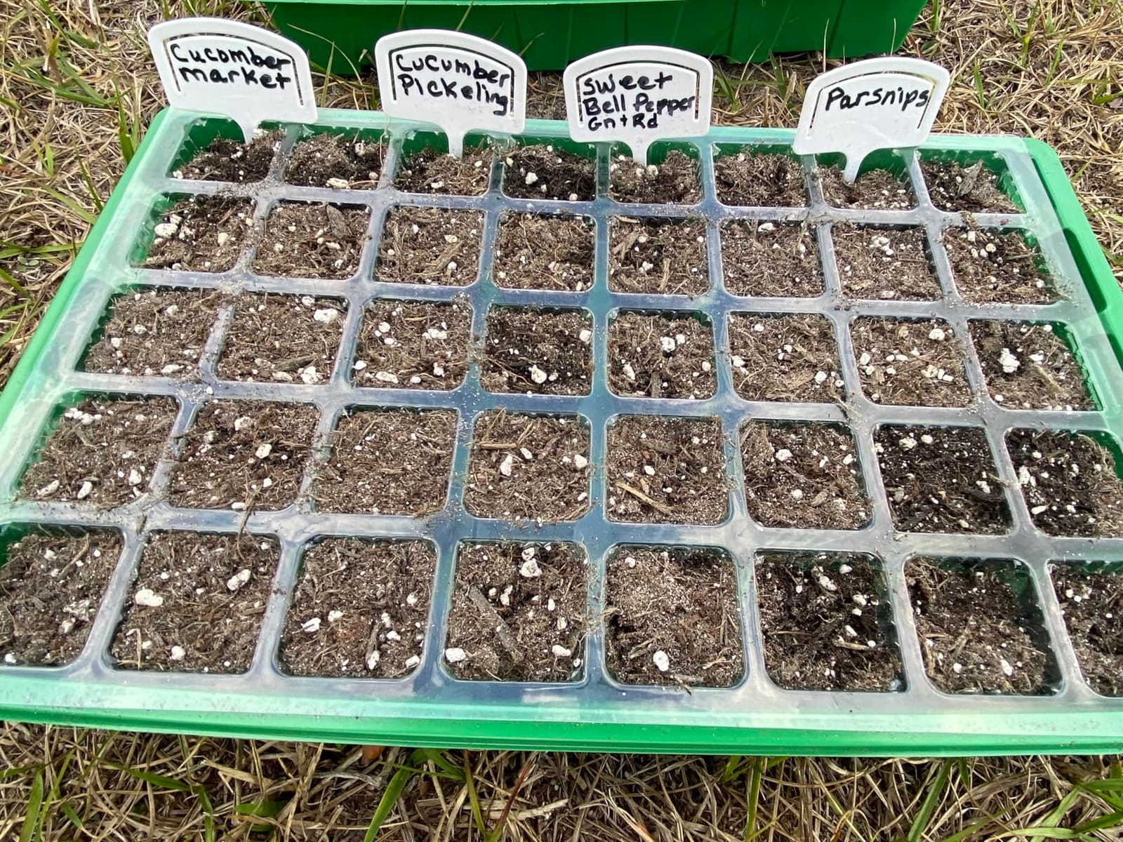 20 Vegetable Seeds Variety Pack - 12,465+ Non-GMO Heirloom Seeds for Planting Vegetables and Fruits in Individual Seed Packets, Home Garden Seed for Hydroponic, Indoor and Outdoors Gardening customer photo 1