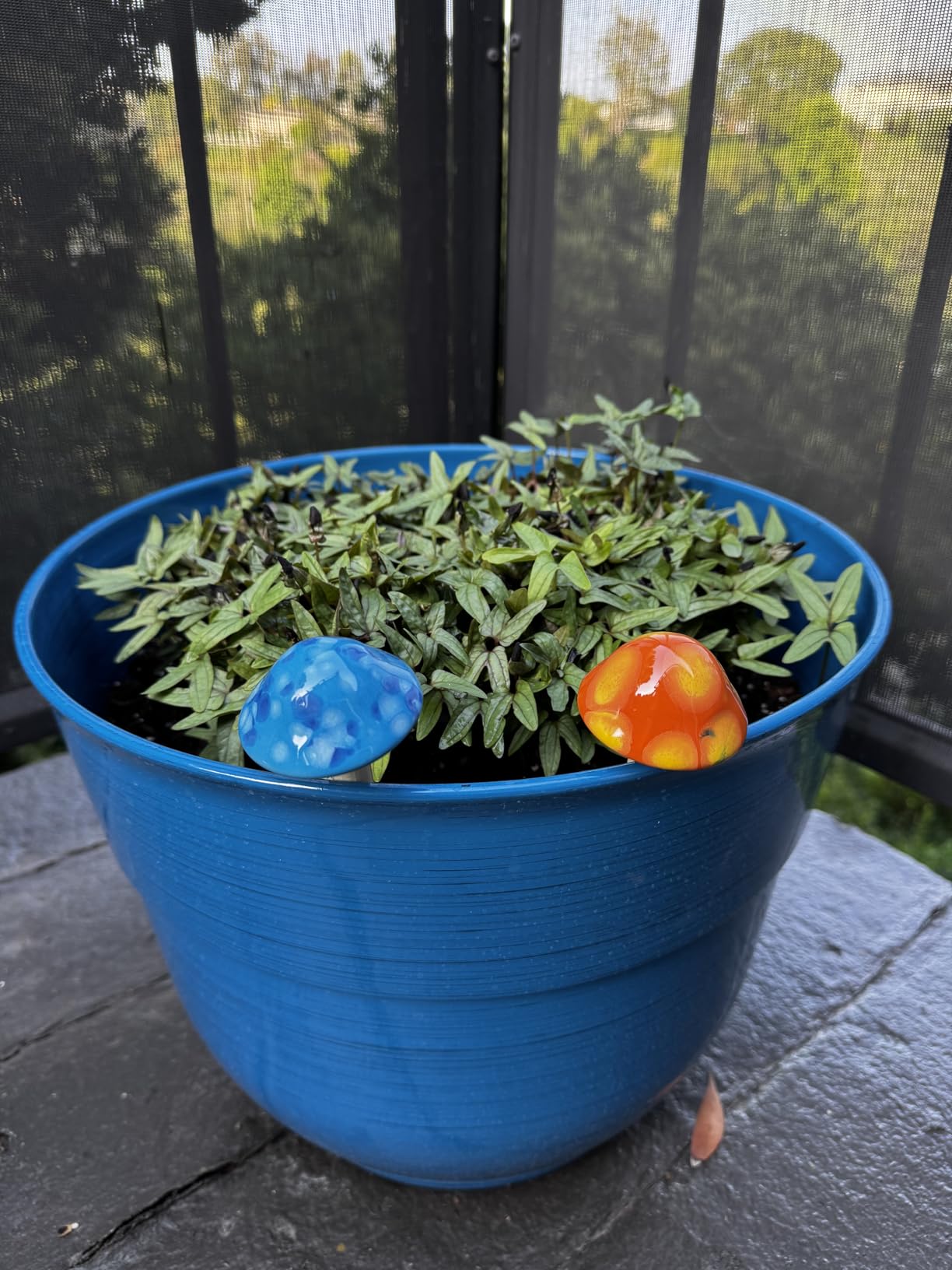 Garden Elements Indoor/Outdoor Glazed Brushed Happy Plastic Planter, Large, Dark Blue, 15