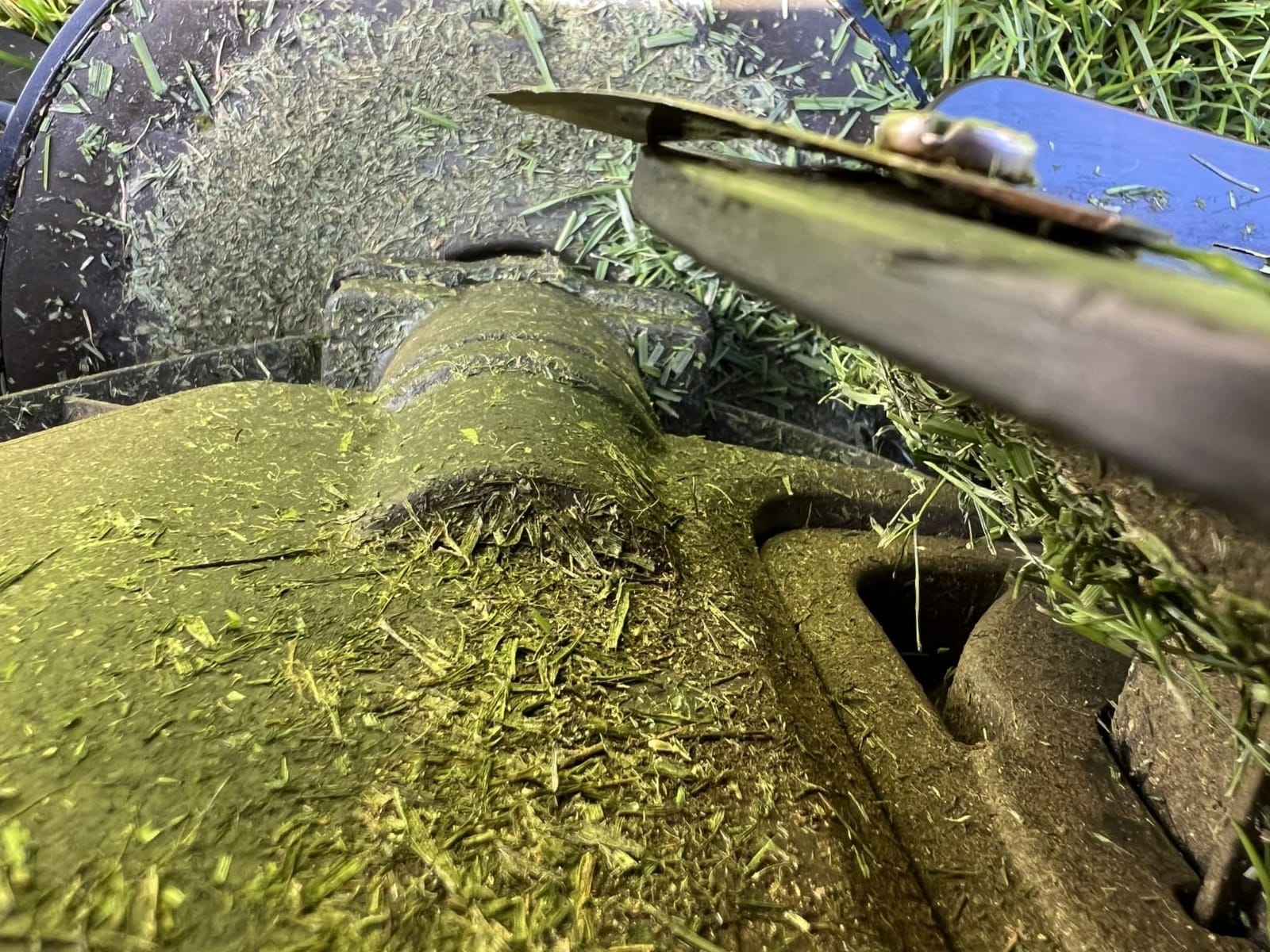 EMBerg Monster XL Blades (18 Pack) for Automower Models as Well as Gardena and McCulloch Robotic Lawnmowers. (Titanium) customer photo 1