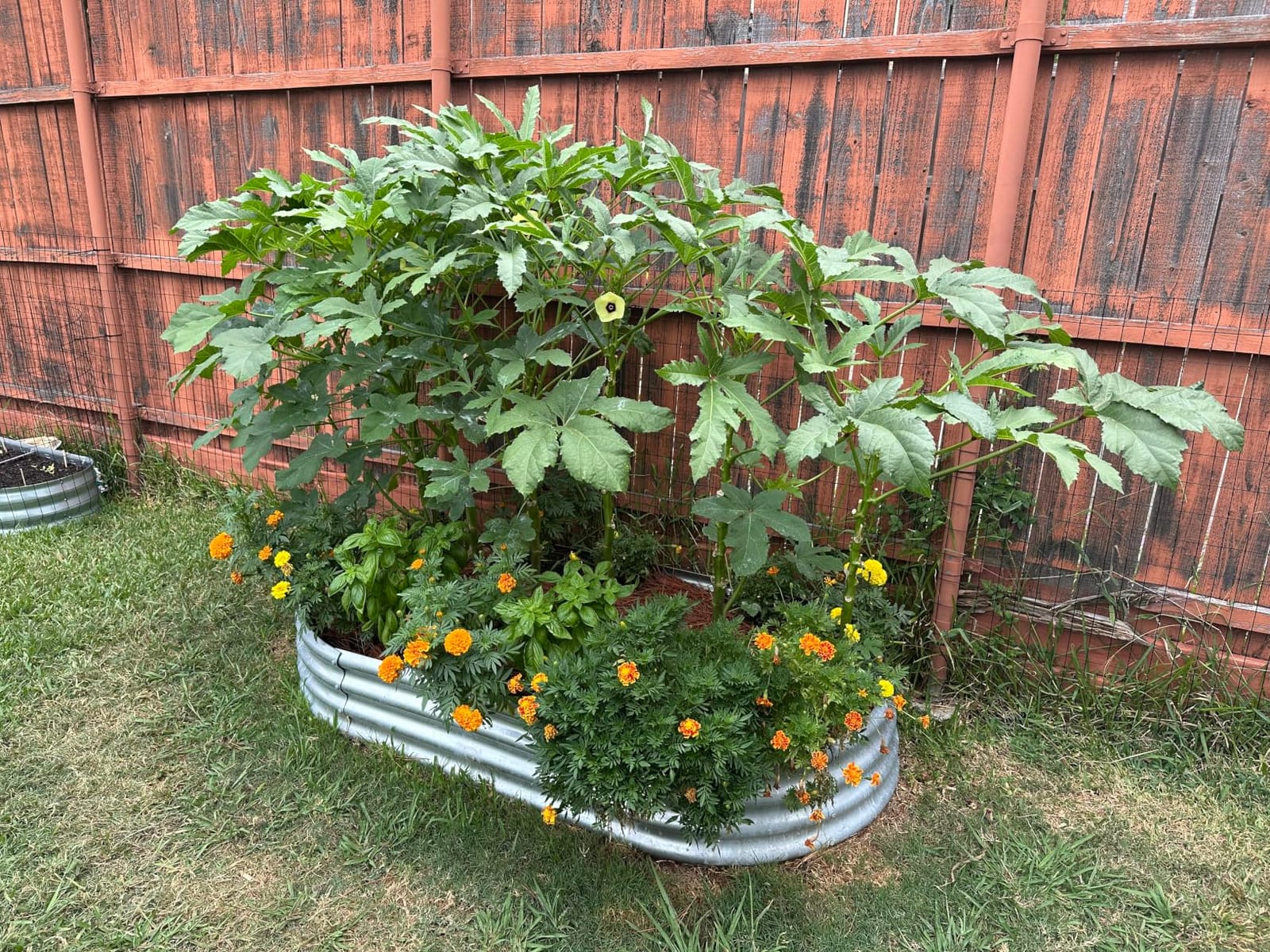 Land Guard 2Pcs Galvanized Steel Raised Garden Bed,8 x 4 x 1 ft Large Metal Raised Planter Beds, Aluminum Raised Garden Bed for Vegetables, 8 x 4 x 1ft(2pcs) customer photo 2