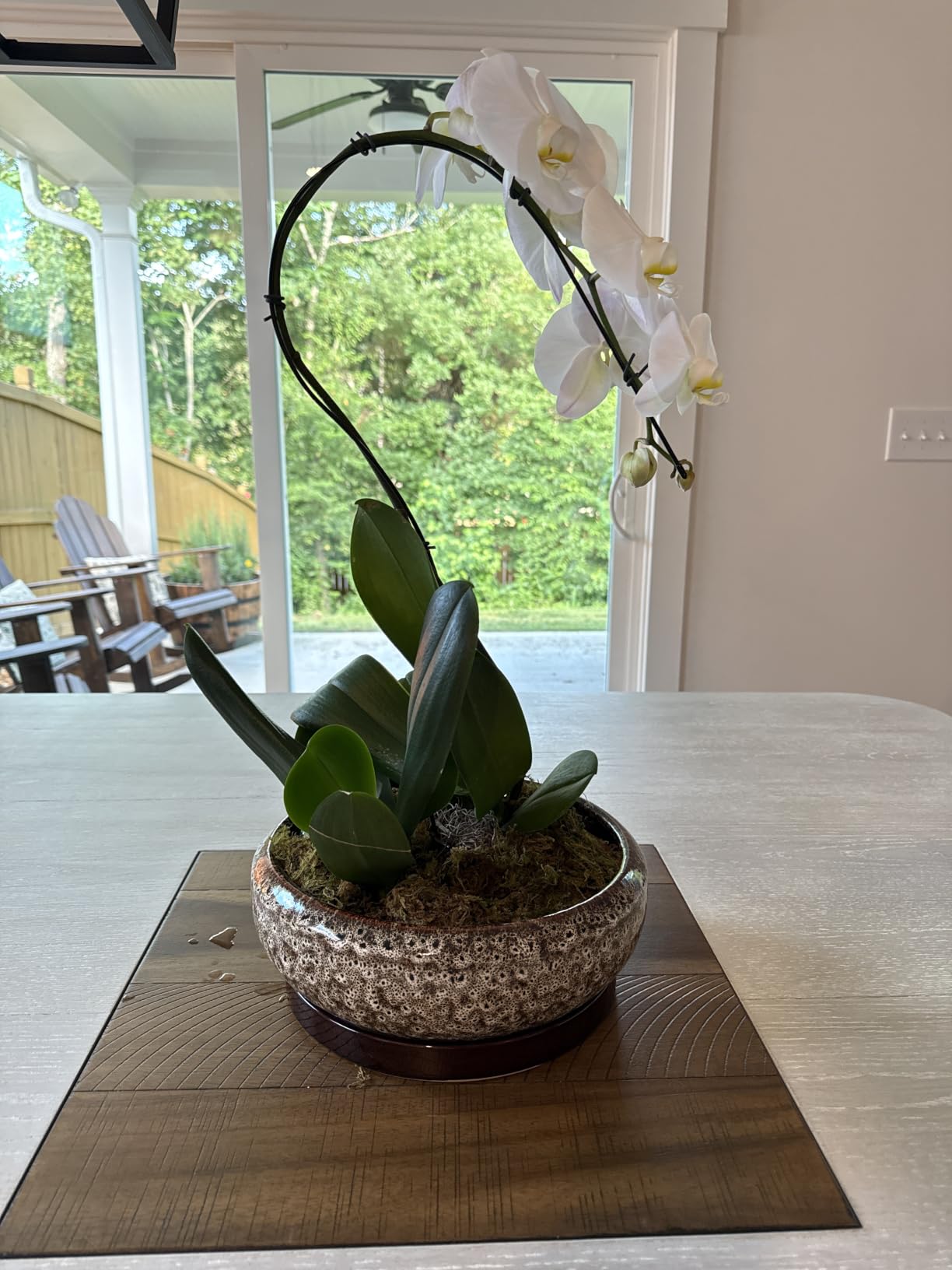 8 Inch Ceramic Bonsai Planter Pot, Glazed Shallow Succulent Planter with Drainage Hole and Bamboo Saucer for Indoor Plants, Brown customer photo 1