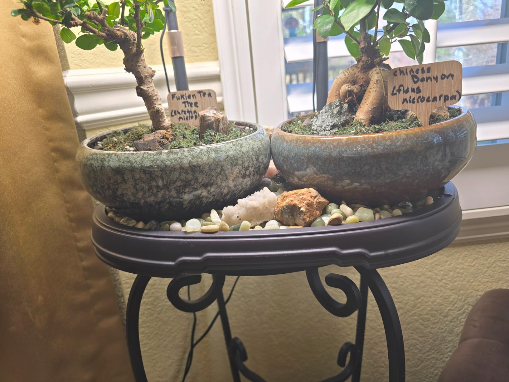 8 Inch Ceramic Bonsai Planter Pot, Glazed Shallow Succulent Planter with Drainage Hole and Bamboo Saucer for Indoor Plants, Brown customer photo 2