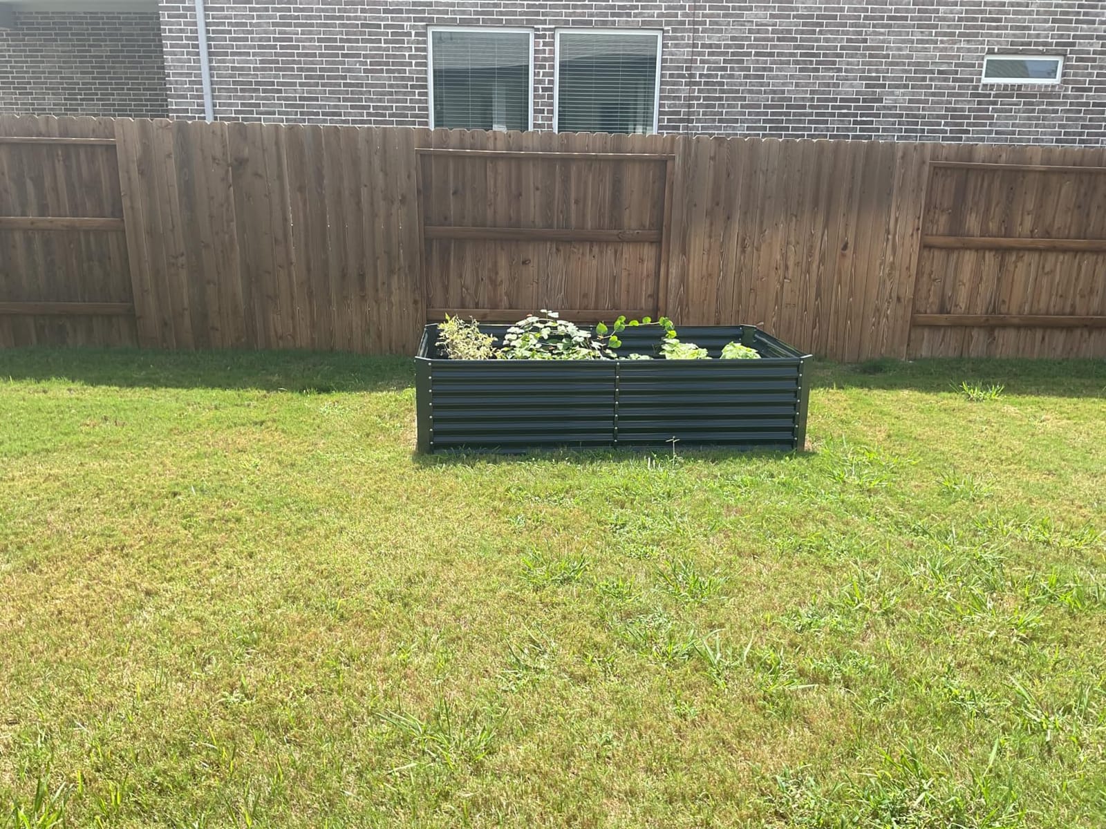 Land Guard 8×4×2 ft Galvanized Raised Garden Bed Kit, Galvanized Planter Raised Garden Boxes Outdoor, Large Metal Raised Garden Beds for Vegetables(Grey)… customer photo 1