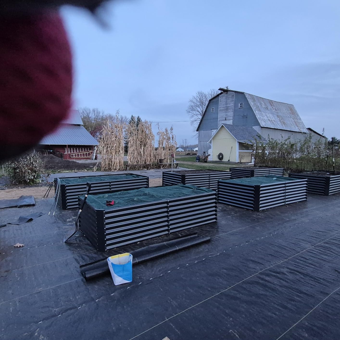 Land Guard 8×4×2 ft Galvanized Raised Garden Bed Kit, Galvanized Planter Raised Garden Boxes Outdoor, Large Metal Raised Garden Beds for Vegetables. customer photo 2