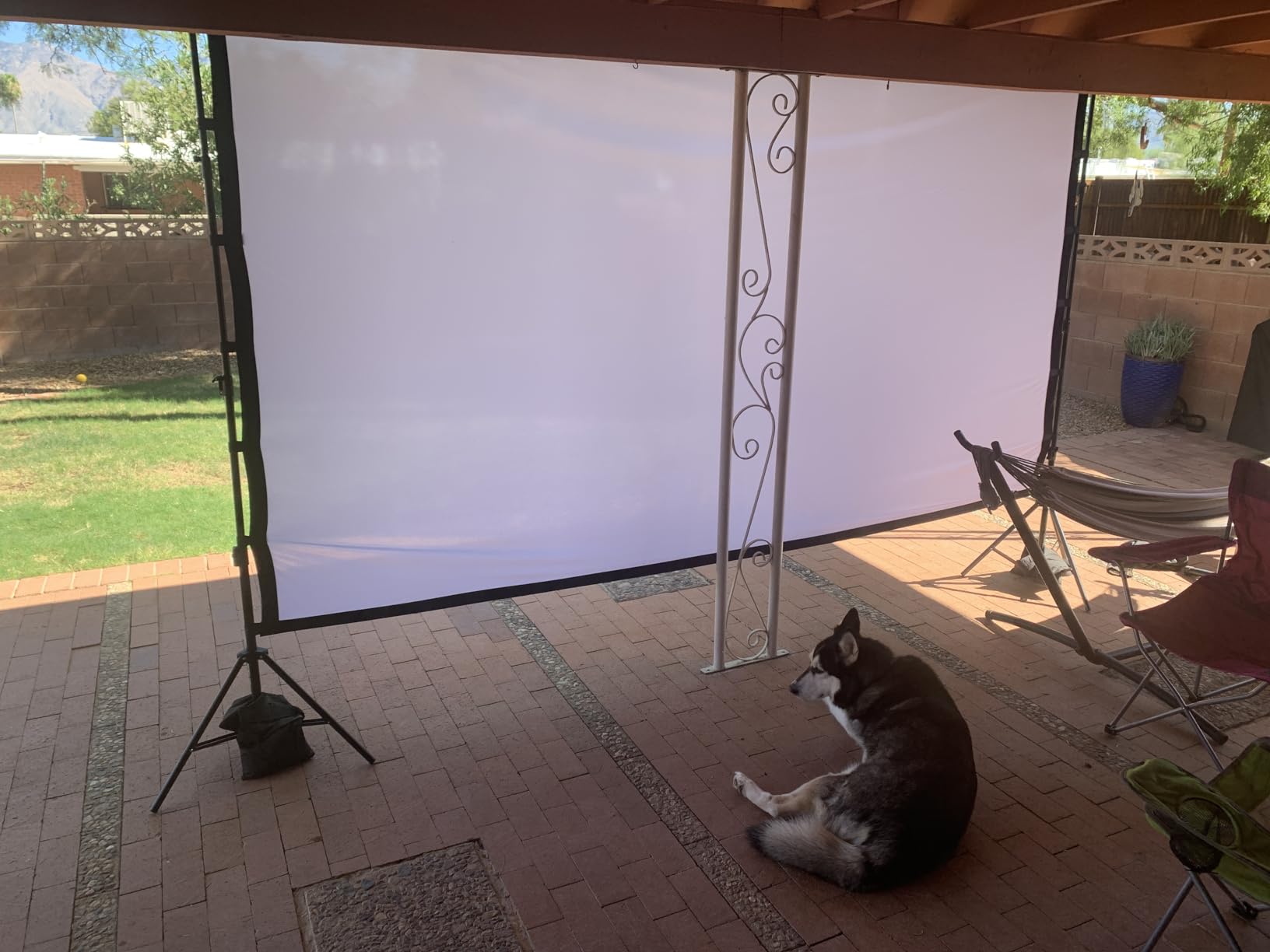 100 Inch Outdoor Projector Screen with One-Piece Telescopic Stand, Wrinkle-Resistant 4K HD Movie Screen for Backyard, Camping and Indoor Home Theater (Fits Long Throw Projectors) customer photo 1