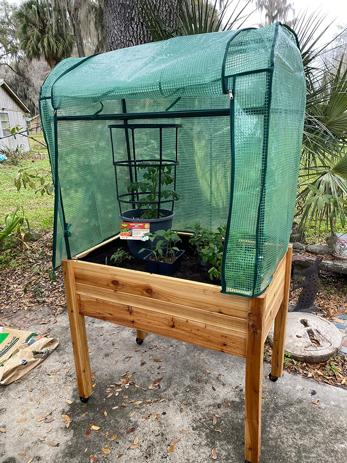 Elevated Wood Gardening Bed with Green House Cover - 36L x24W x 66H - Backyard Expressions customer photo 2