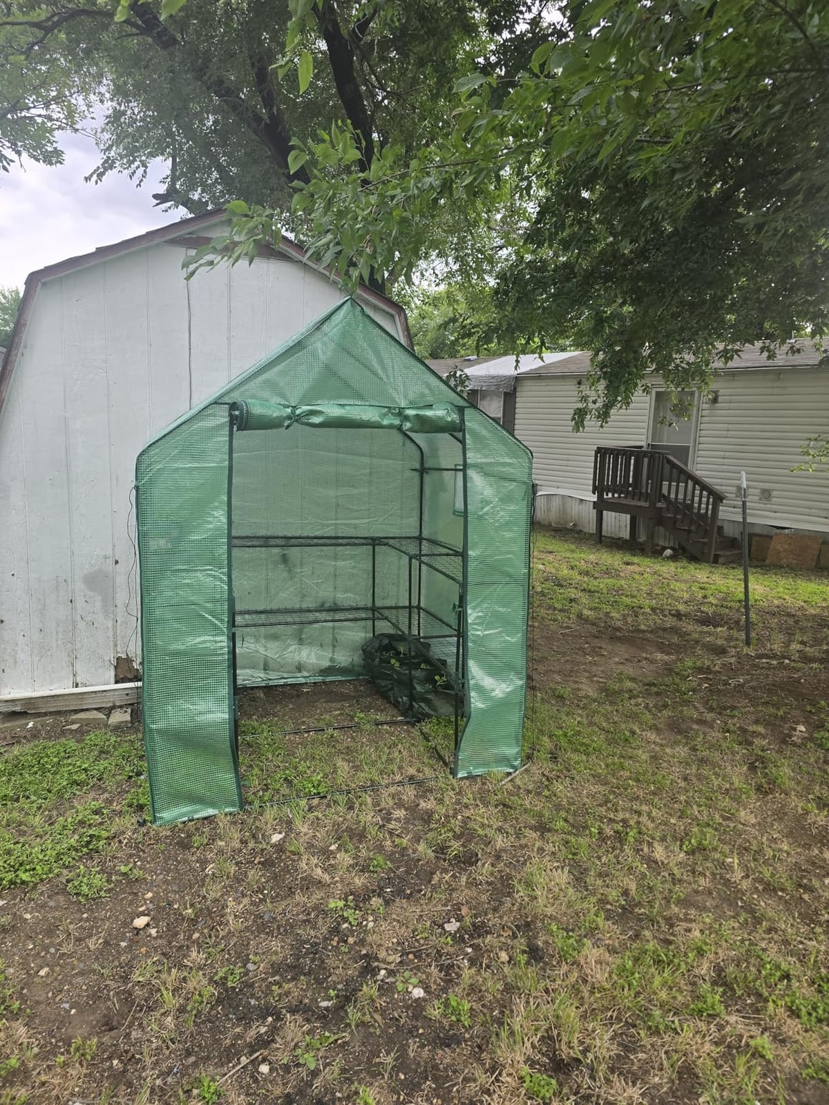 SUNGIFT Walk-in Greenhouse, 57 x 61 x 80 in, 3 Tiers 10 Shelves customer photo 1