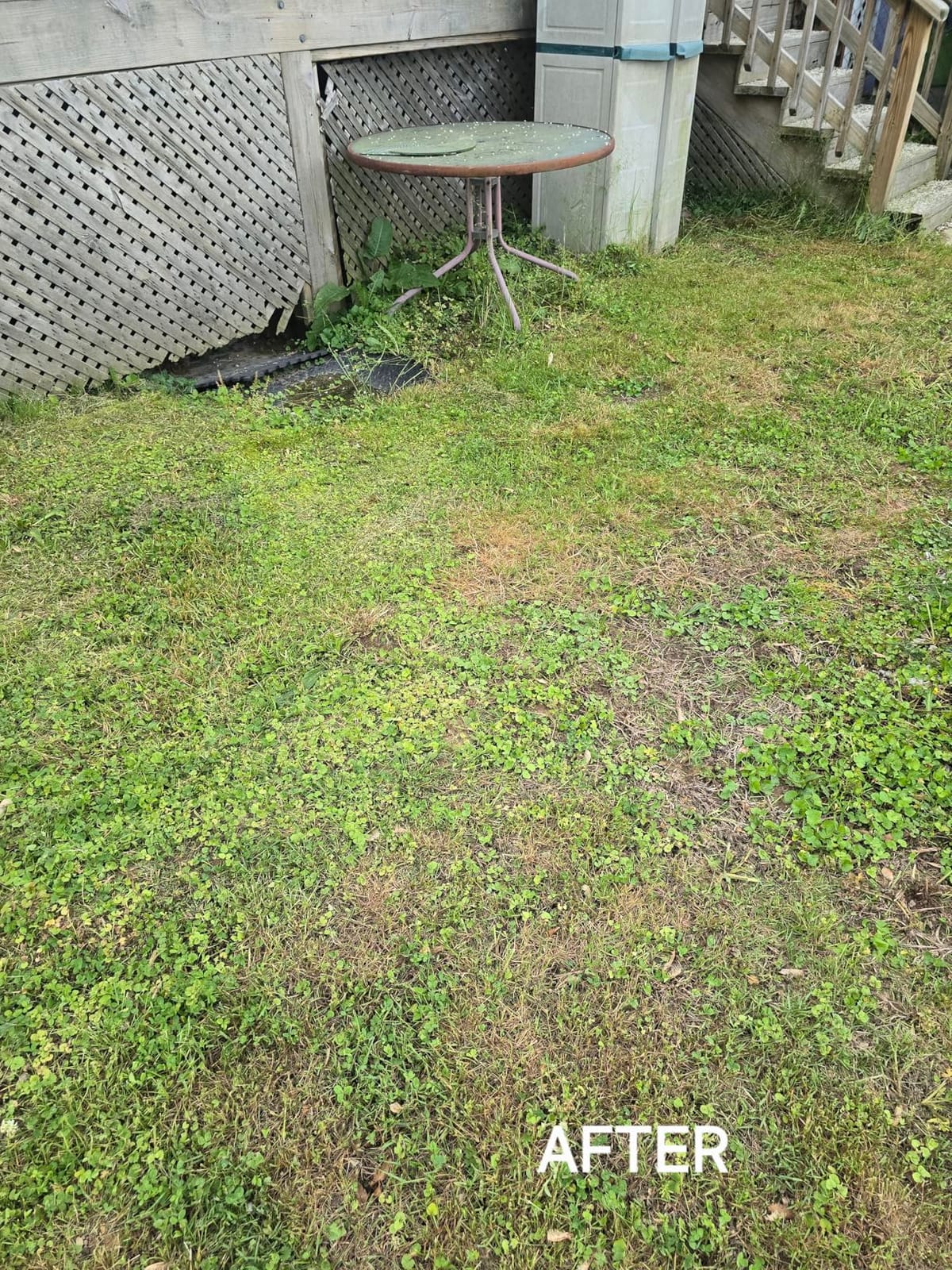 LawnMaster 48V MAX 17-inch Brushless Cordless Lawn Mower, CLMF4817E customer photo 1