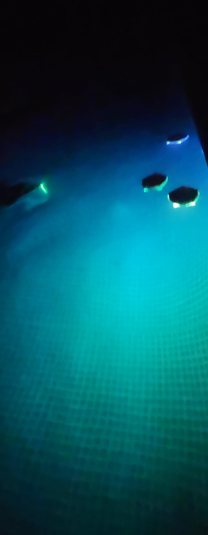 DeeprBetter Floating Pool Lights,Color Changing Waterproof Magnetic Pond Lights,Pool Light that Float,Starfish Above Ground Pools Light Up for Pond,Hot tub,Bathtub,Shower,Halloween,Christmas-2pcs customer photo 2