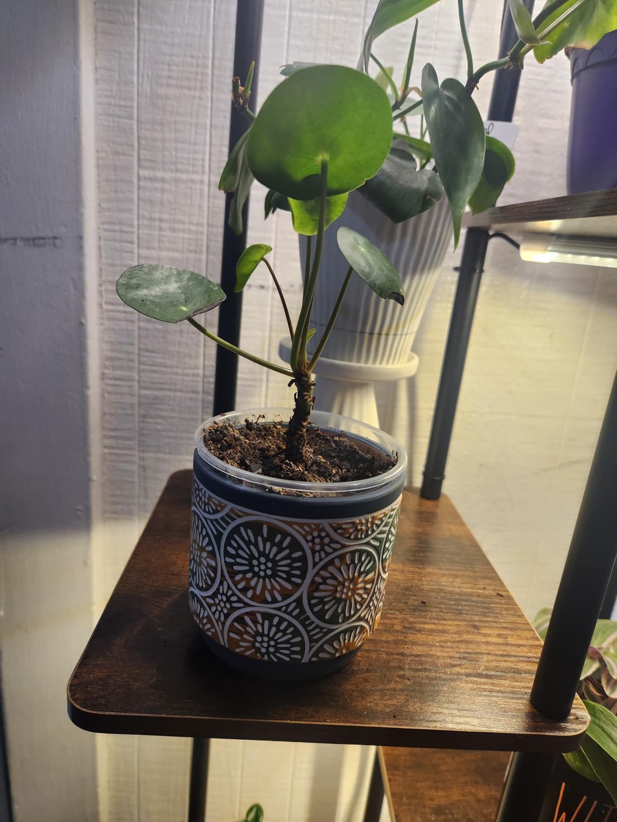 DeeCoo 3 Piece Ceramic Plant pots Indoor Pots Set with Drainage Holes, 5.7/4.7/3.5/inch, Modern Decorative pots Outdoor Plants Lilies, Cacti, Succulents, Snakes, and Bamboo (Blue) customer photo 1