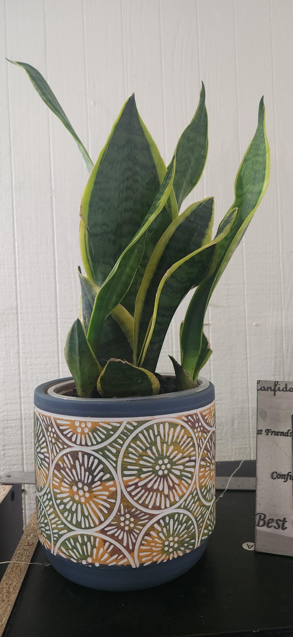 DeeCoo 3 Piece Ceramic Plant pots Indoor Pots Set with Drainage Holes, 5.7/4.7/3.5/inch, Modern Decorative pots Outdoor Plants Lilies, Cacti, Succulents, Snakes, and Bamboo (Blue) customer photo 2
