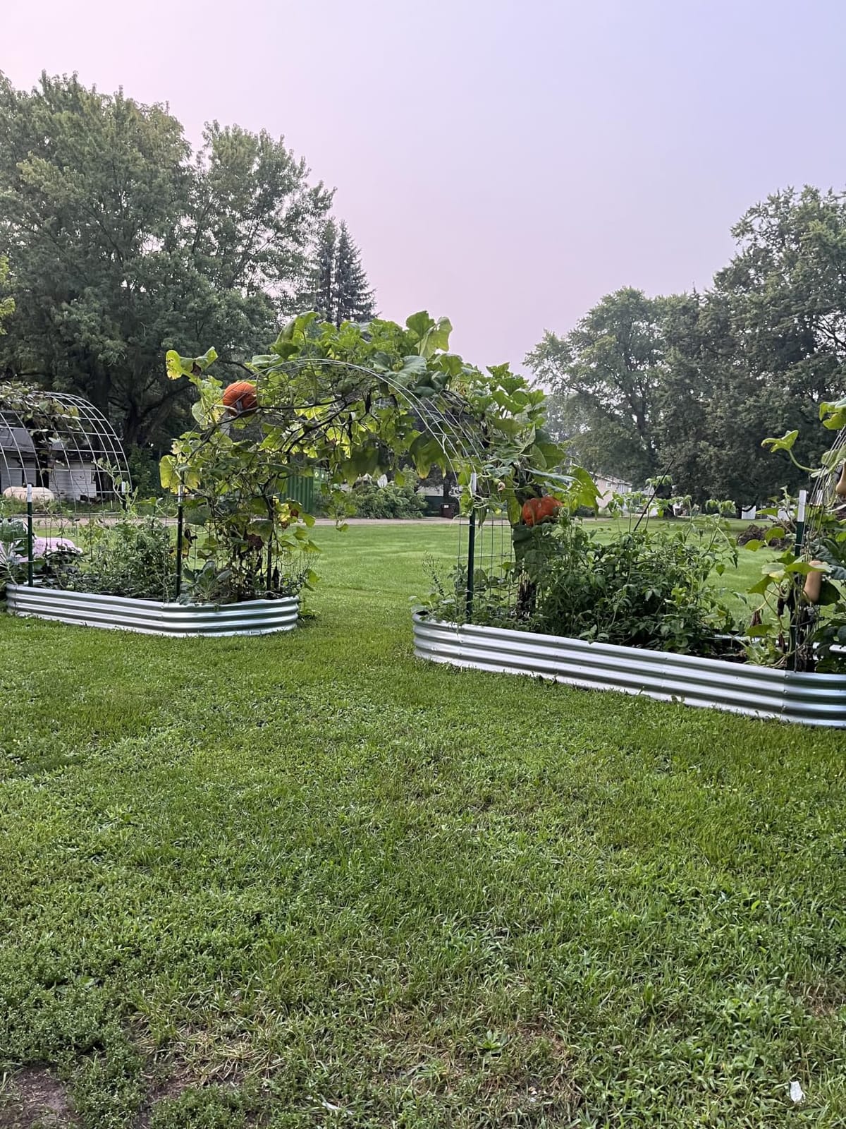 Land Guard 2Pcs Galvanized Raised Garden Bed Kit, Galvanized Planter Oval Large Metal Raised Garden Boxes Outdoor for Vegetables… customer photo 2