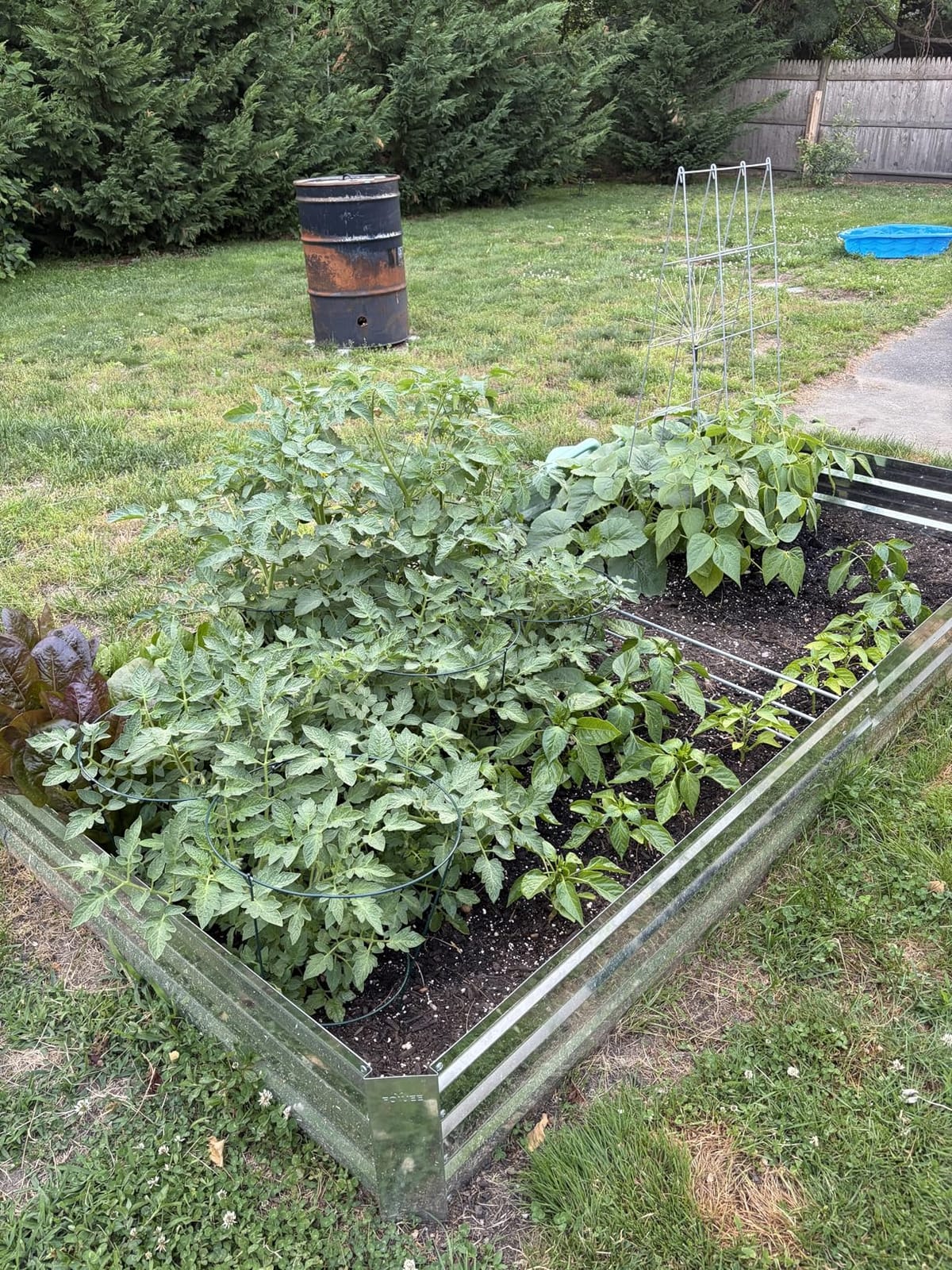 2-Pack Galvanized Raised Garden Bed 8x4x1ft customer photo 1
