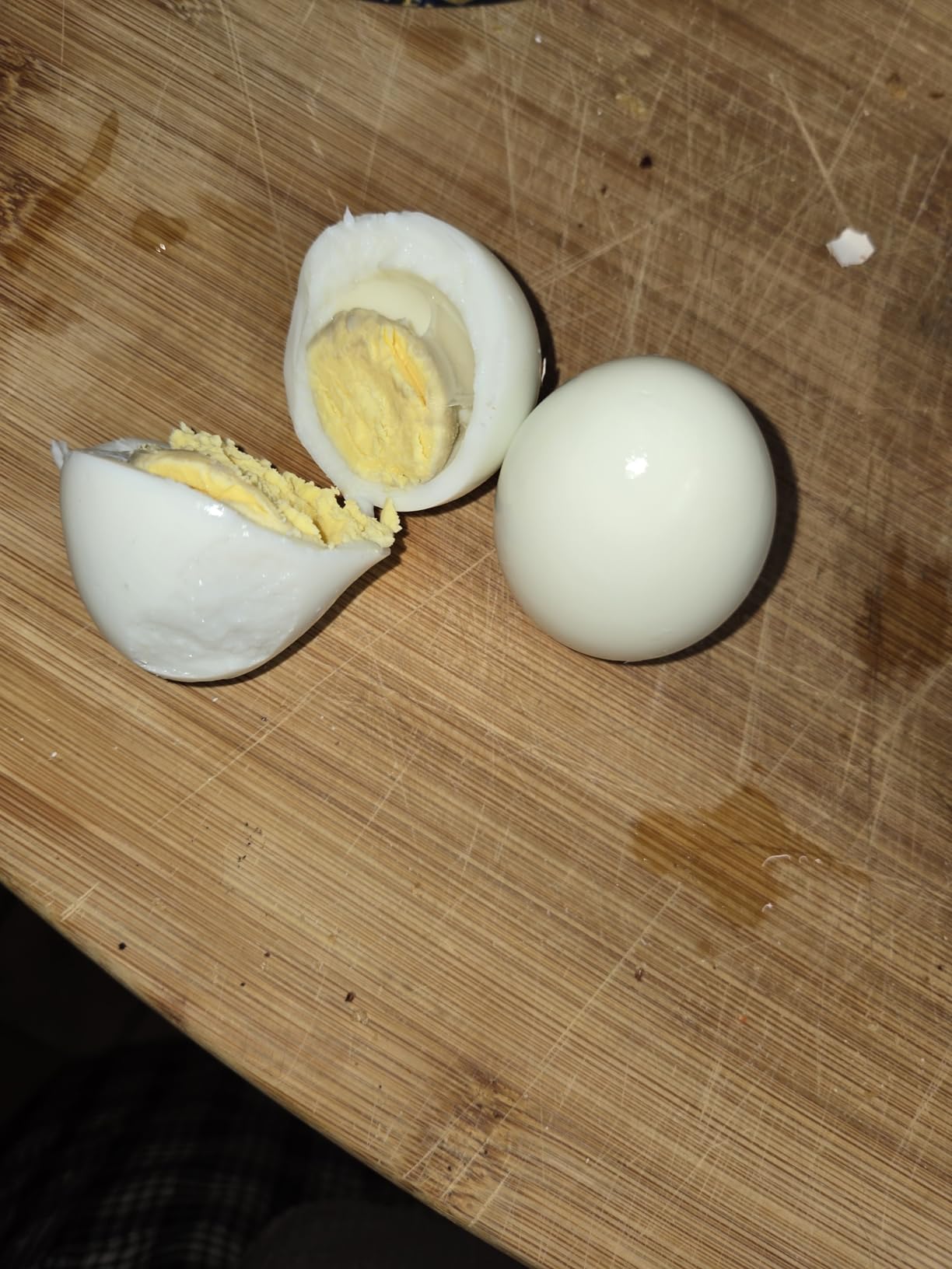 Elite Gourmet 7-Egg Rapid Egg Cooker, Poacher/Omelet Maker, Auto Shut-Off customer photo 2