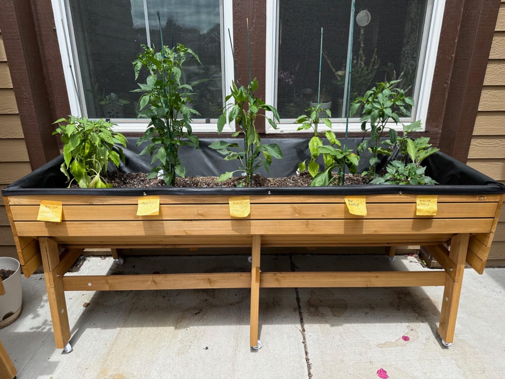MUPATER 6x3x2FT Cedar Raised Garden Bed for Outdoor,Raised Garden Bed with Legs, 837lbs Large Elevated Garden Planter Box with Liner Design for Herbs, Grey customer photo 1
