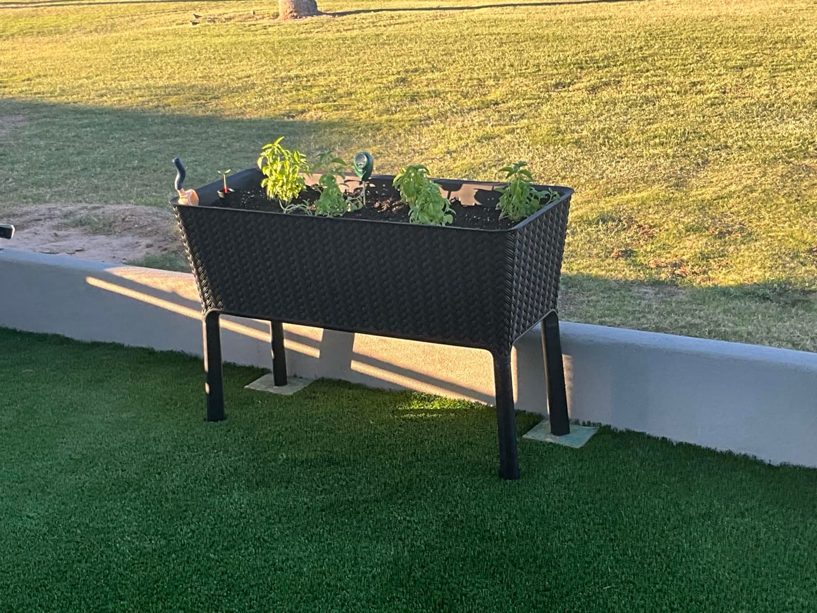 Keter Splendor 31.7 Gallon Raised Garden Bed with Self Watering Planter Box and Drainage Plug-Perfect for Growing Fresh Vegetables, Flowers and Herbs, Brown customer photo 2