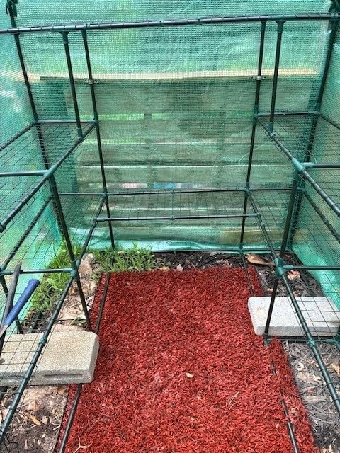 Greenhouse for Outdoors with Screen Windows, Ohuhu Upgraded 4 Tiers 11 Shelves Walk-in Greenhouses with Durable PE Cover, Outside Garden Plastic Green House with Ground Pegs & Ropes for Stability customer photo 2