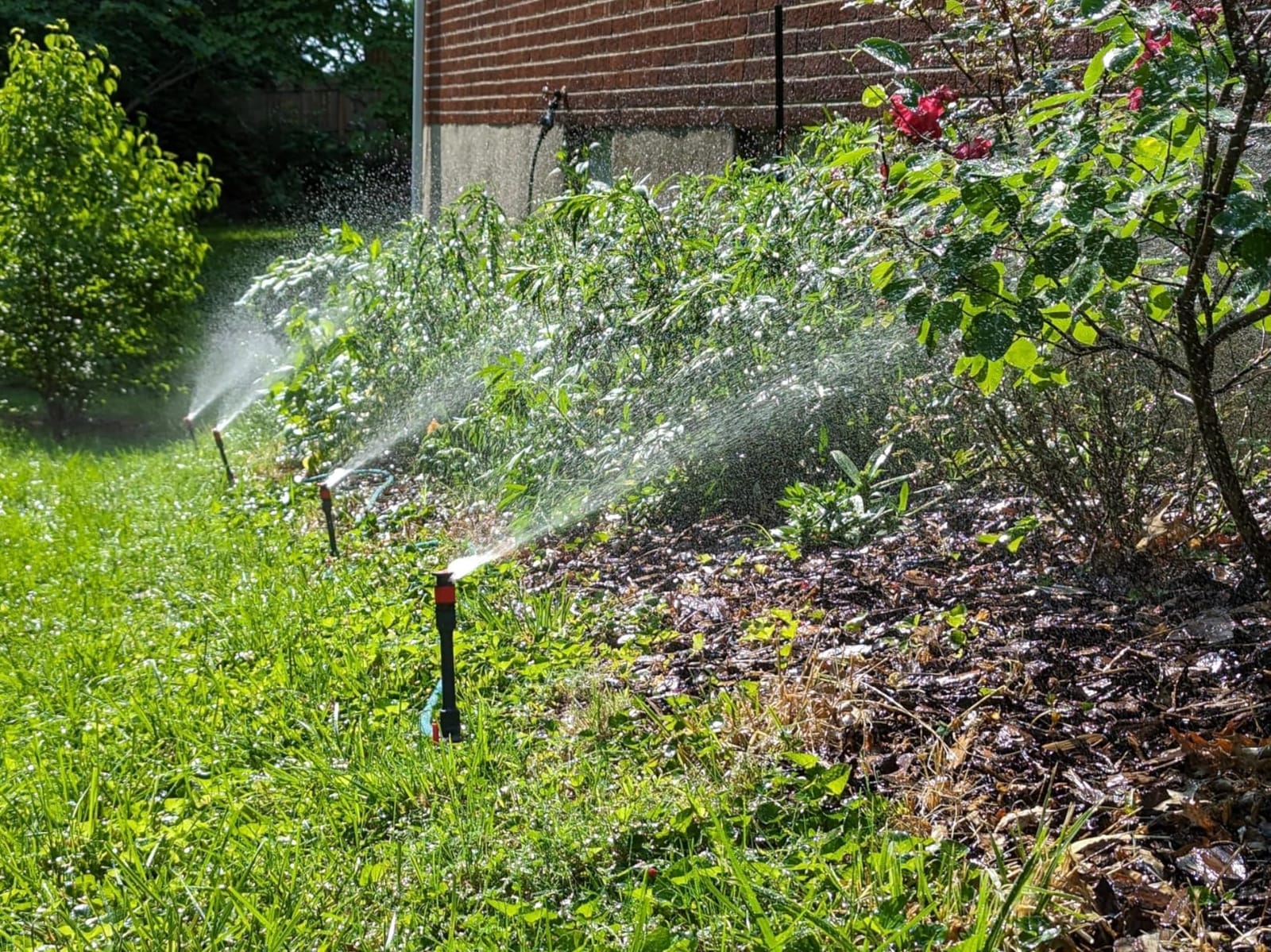 Eden 98063 Multi-Adjustable Flex Design Above Ground Irrigation Garden Sprinkler System, Sprinkler & Hose, DIY Plant Watering Set customer photo 1