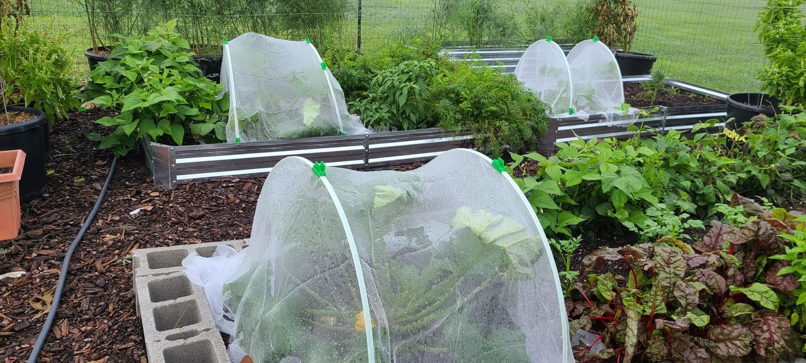 Greenhouse Hoops for 2-4ft Wide Raised Beds, 6.56ft Long Super Bendable Fiberglass Garden Hoops, Weather Resistant Grow Tunnel Support Frame for Plant Row Cover, 6 Pcs customer photo 2